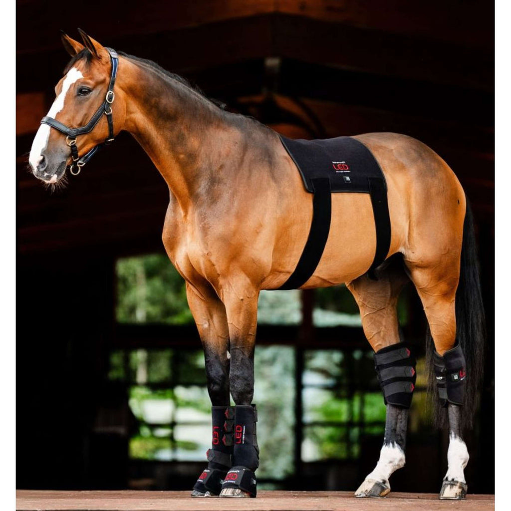 Horseware LED Red Light Therapy Pad Czarny