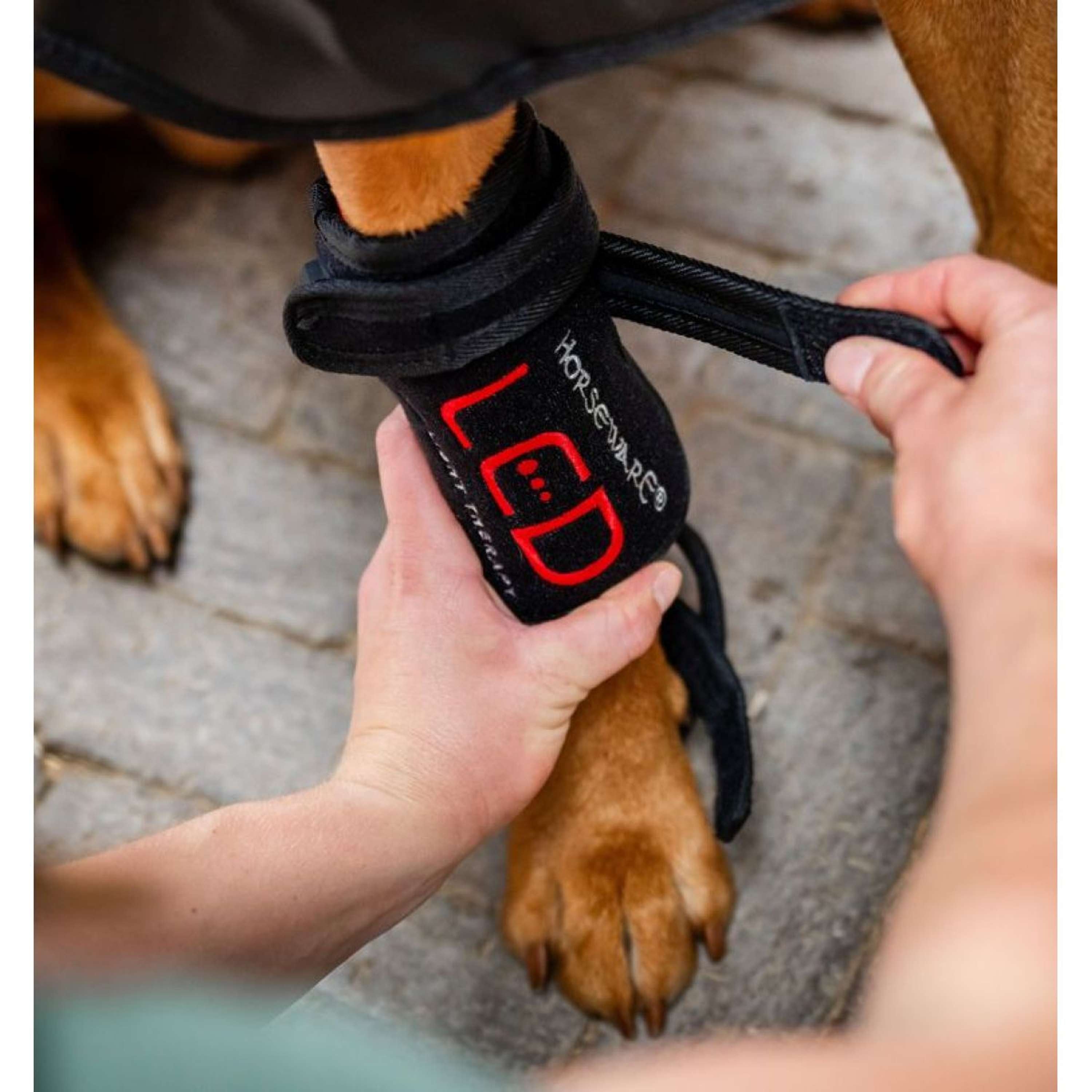 Horseware LED Red Light Therapy Pet Leg Wrap Czarny
