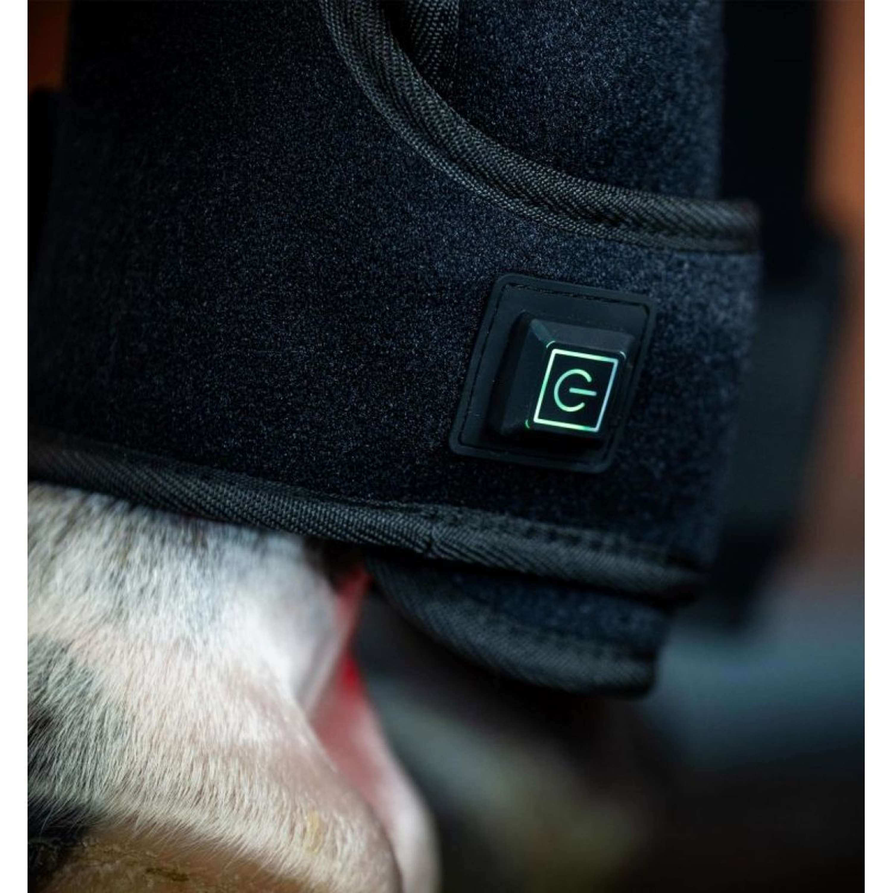 Horseware Led Red Light Terapia Leg Wrap