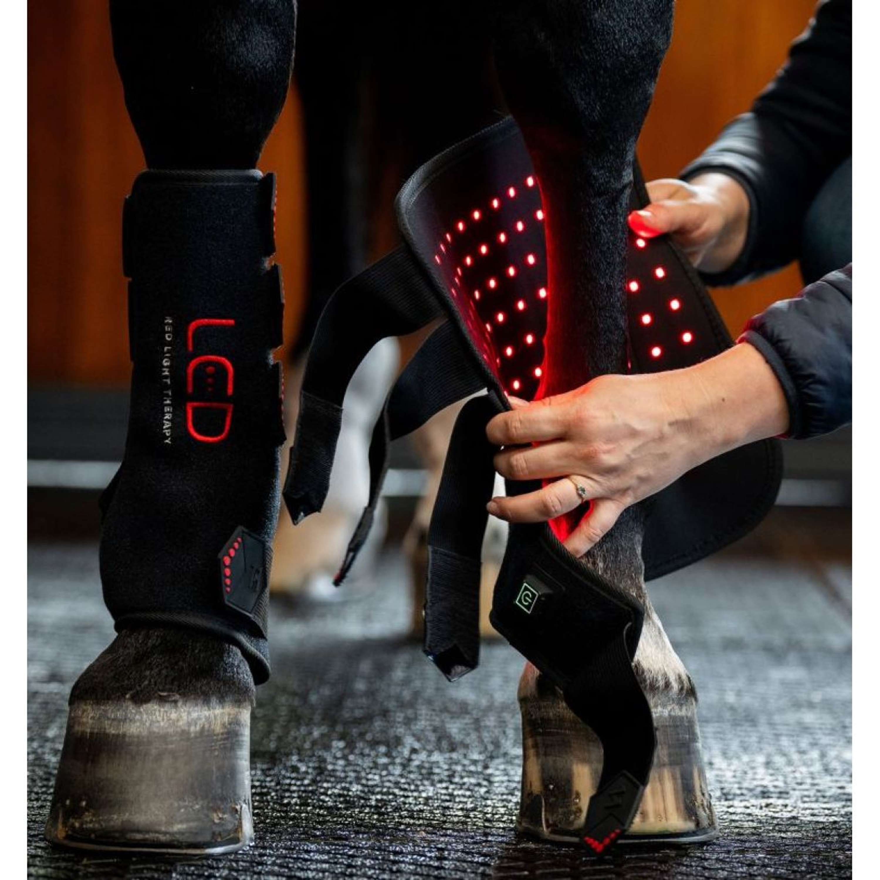 Horseware Led Red Light Terapia Leg Wrap