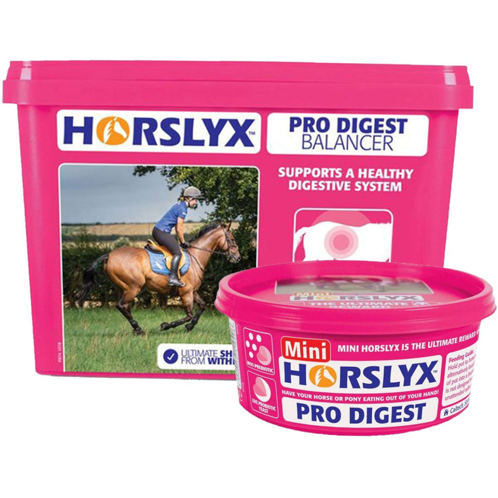 Horslyx Pro Trawienie Balancer
