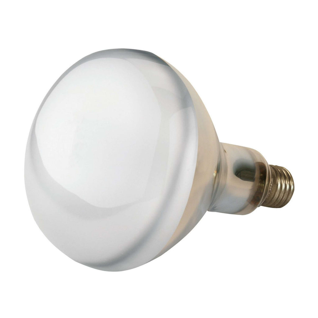 Kerbl Lampa Podczerwieni Biały