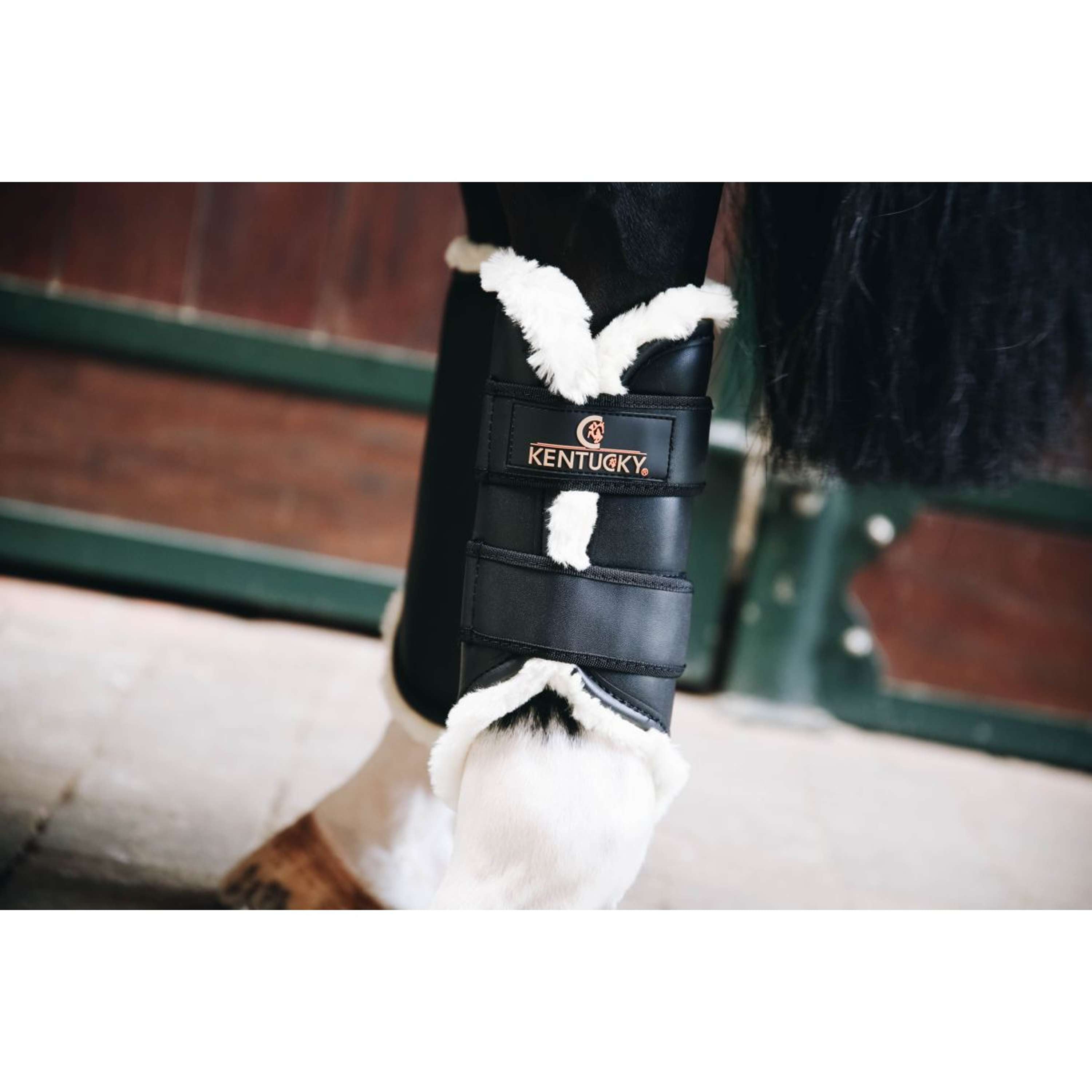 Kentucky Turnout Boots Tylne Nogi Czarny