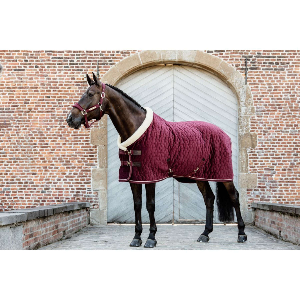 Kentucky Derka Pokazowa Aksamit 160g Bordeaux