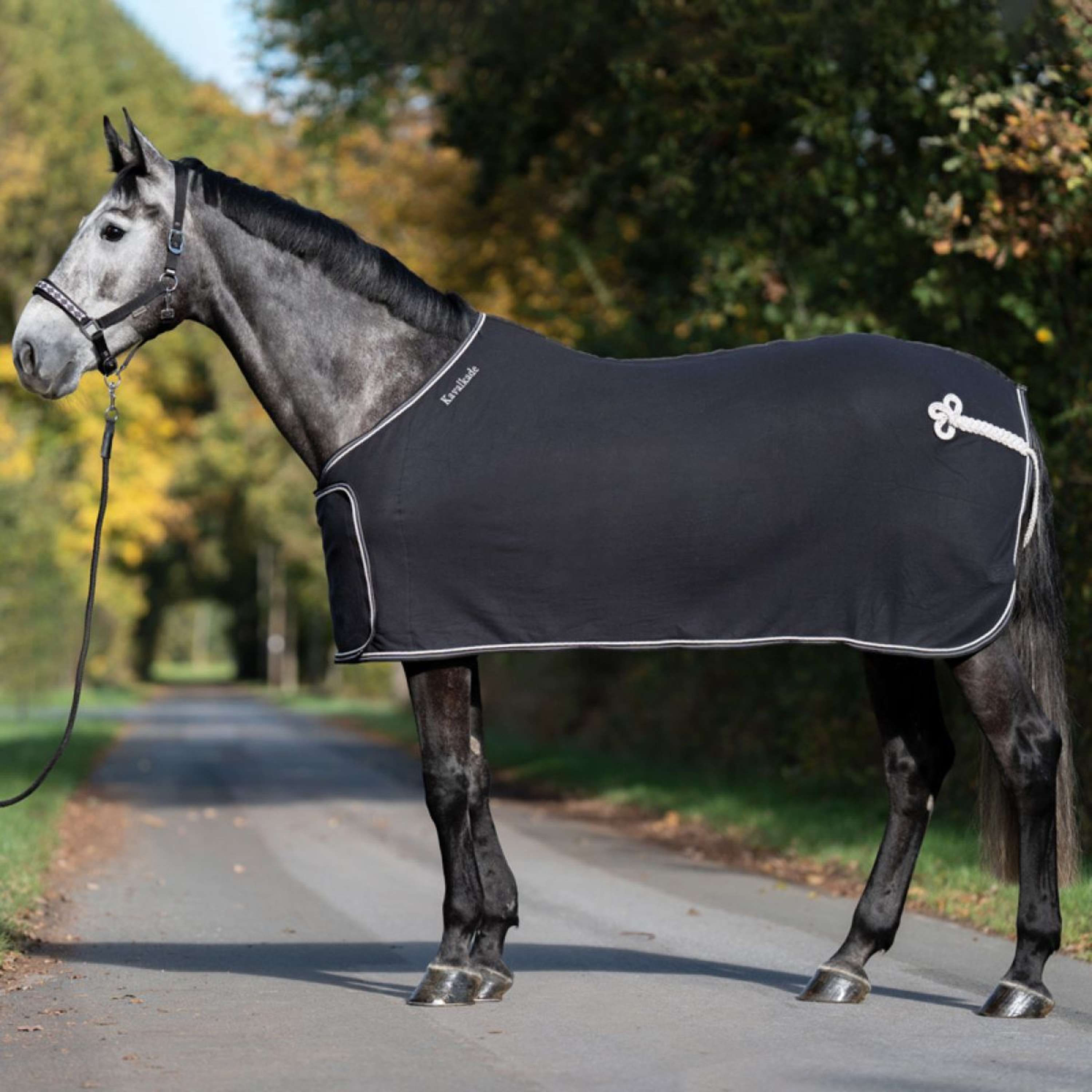 Kavalkade Derka Wywietrzna Removable Chest Klapka Czarny/Biały
