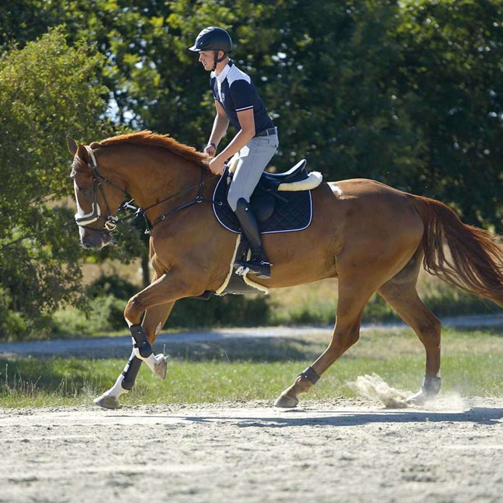 Kavalkade Buty Jeździeckie Maximus Czarne
