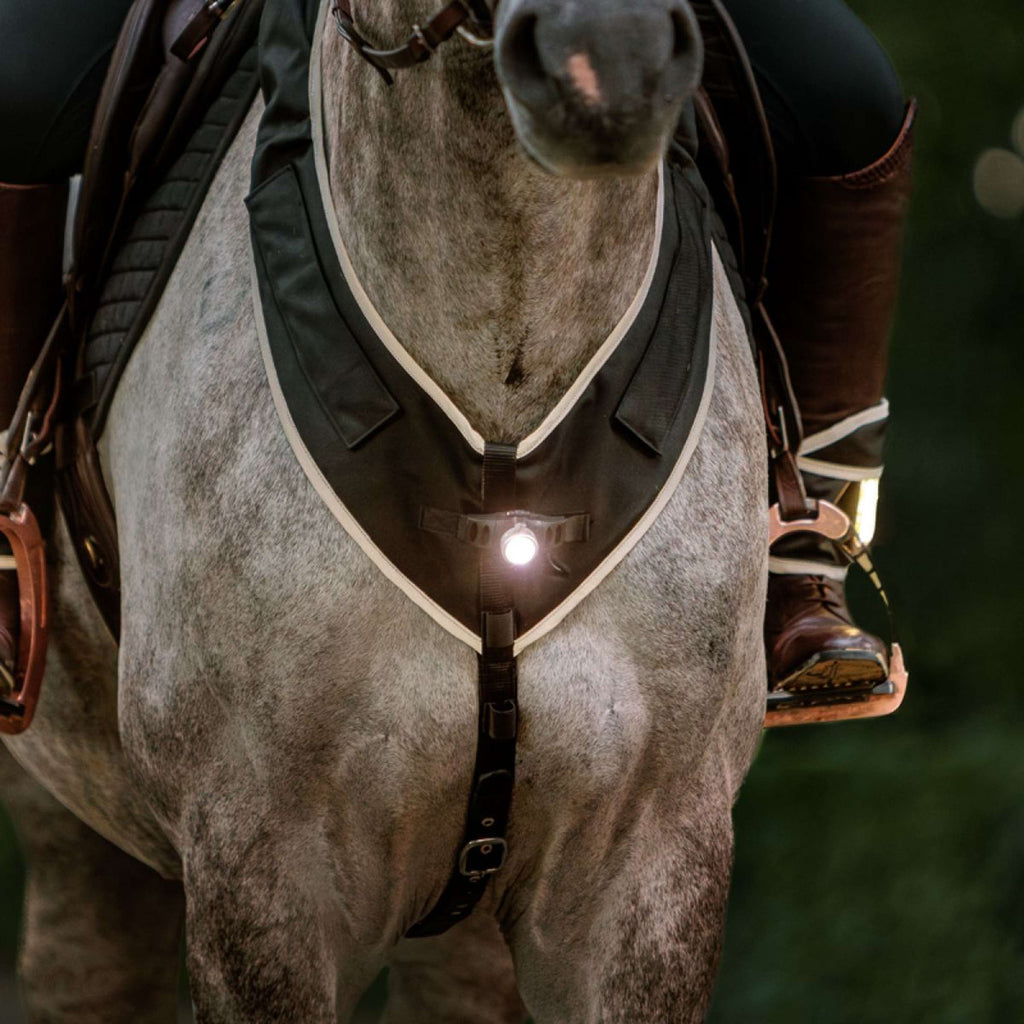 Kavalkade Napiersznik Horselight Czarny/Szary