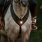 Kavalkade Napiersznik Horselight Czarny/Szary