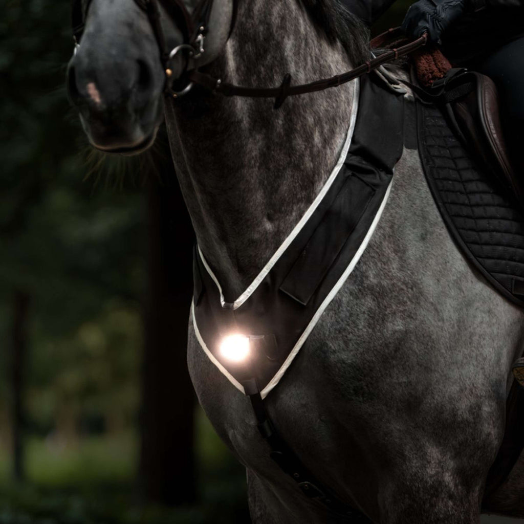 Kavalkade Napiersznik Horselight Czarny/Szary