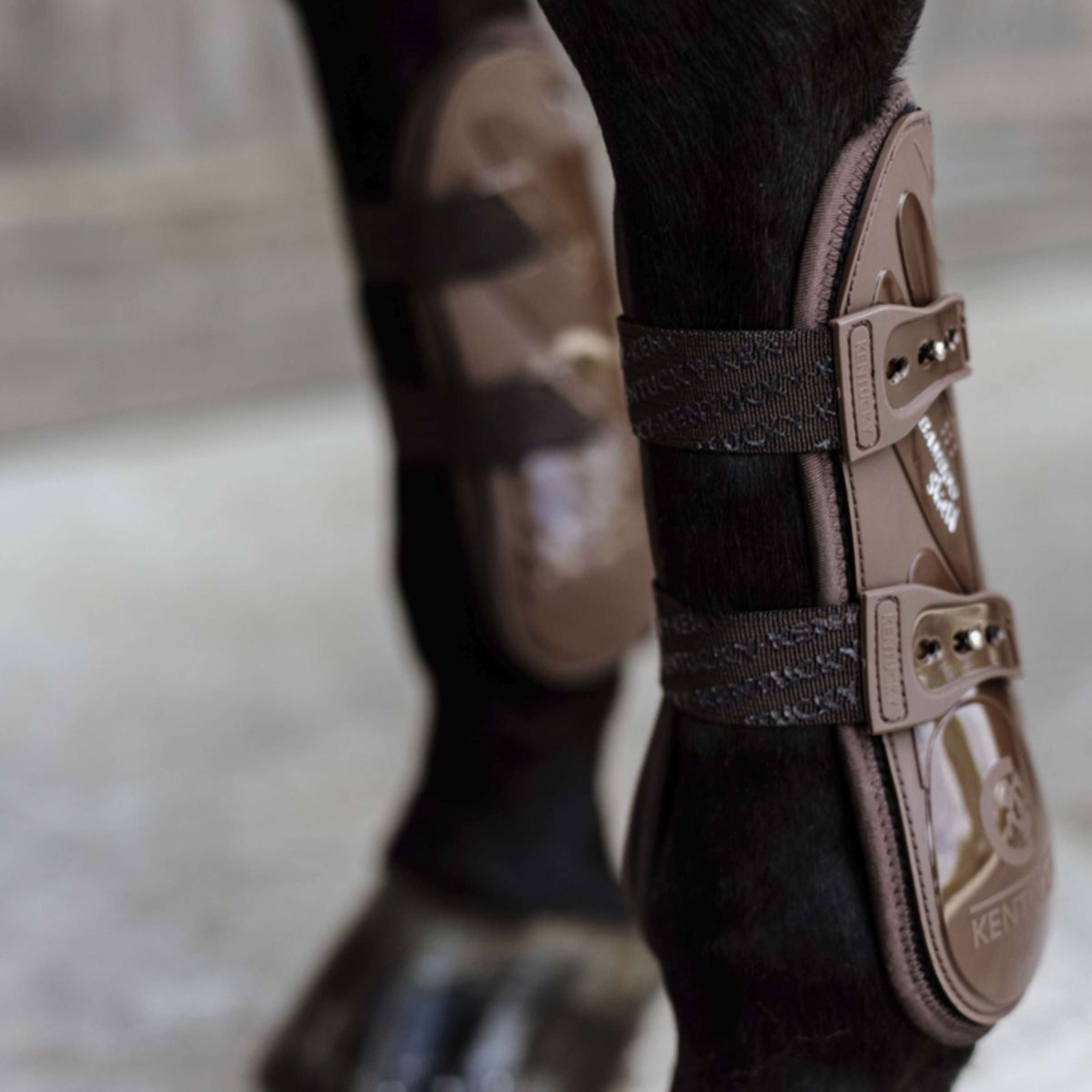 Kentucky Ochraniacze Na Ścięgna Bambus Elastic Brązowy