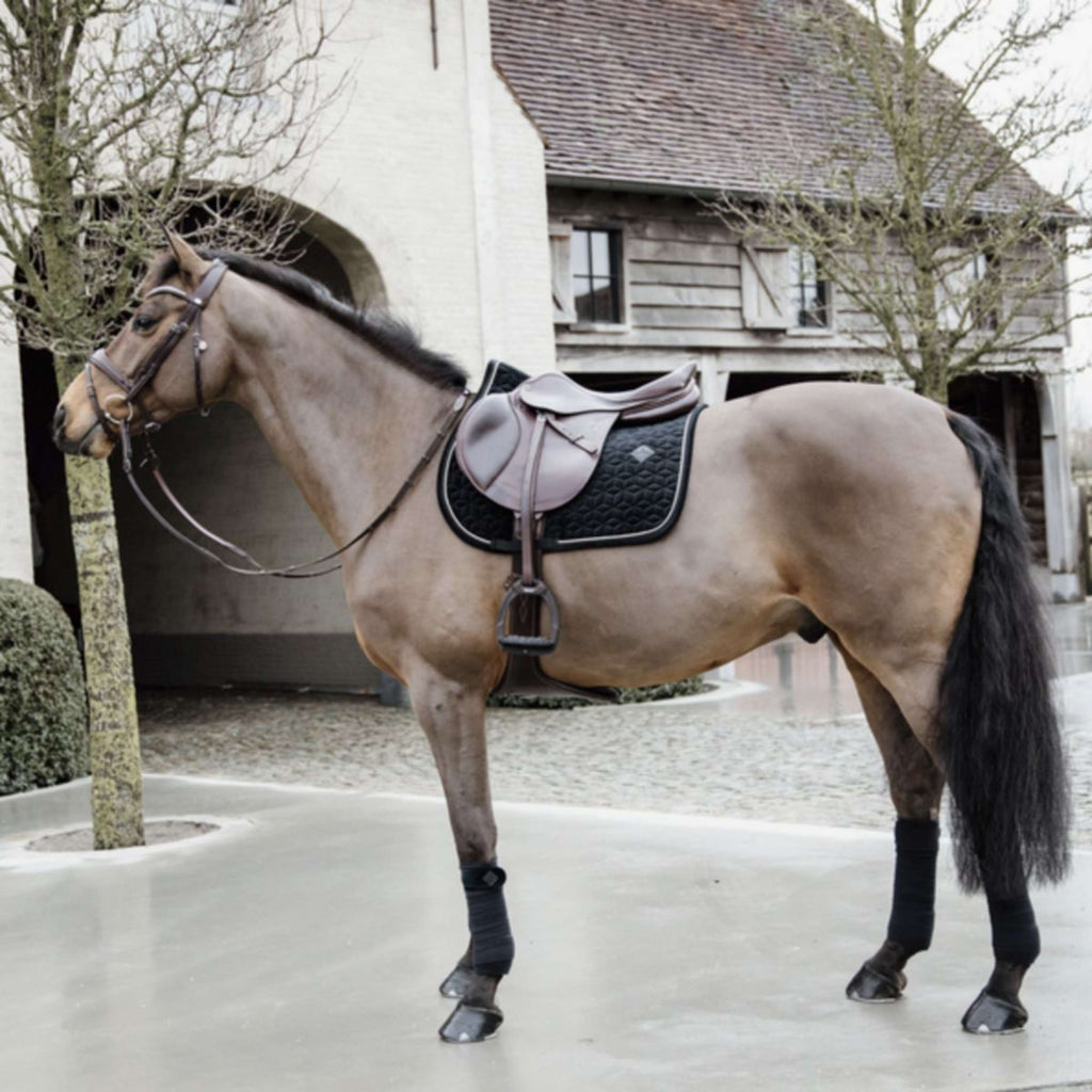 Kentucky Czaprak Basic Velvet Skokowy Czarny