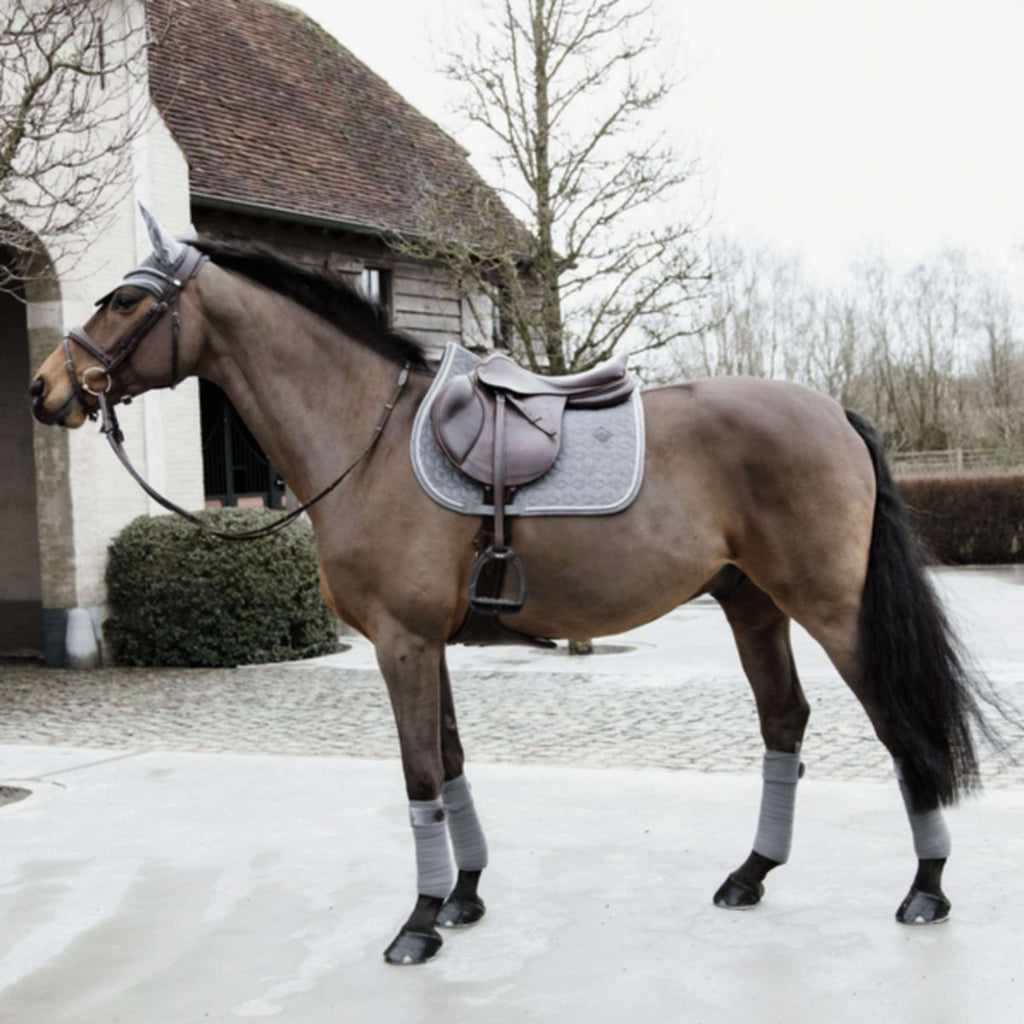 Kentucky Czaprak Basic Velvet Skokowy Szary