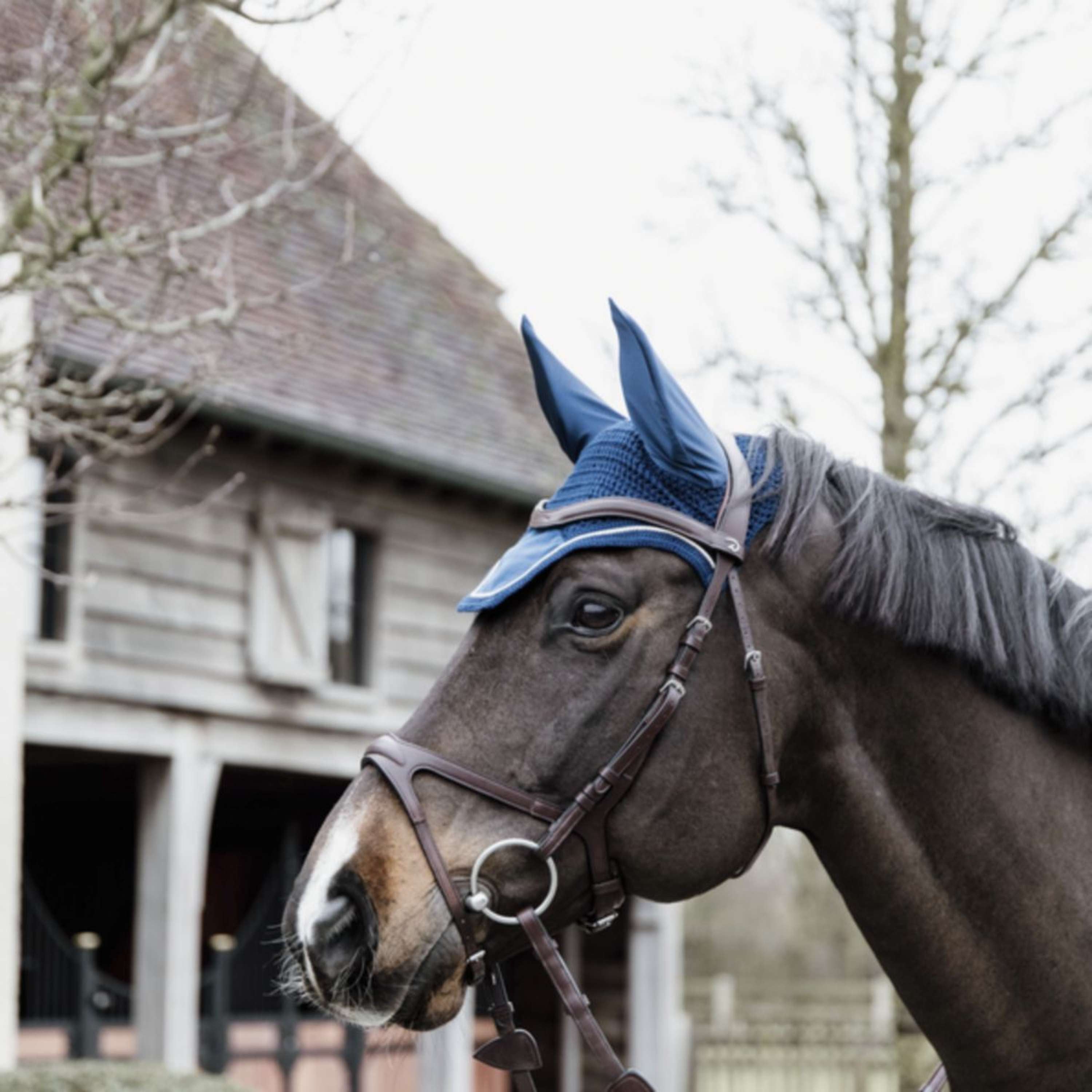 Kentucky Siateczka Na Uszy Wellington Basic Velvet Granatowy