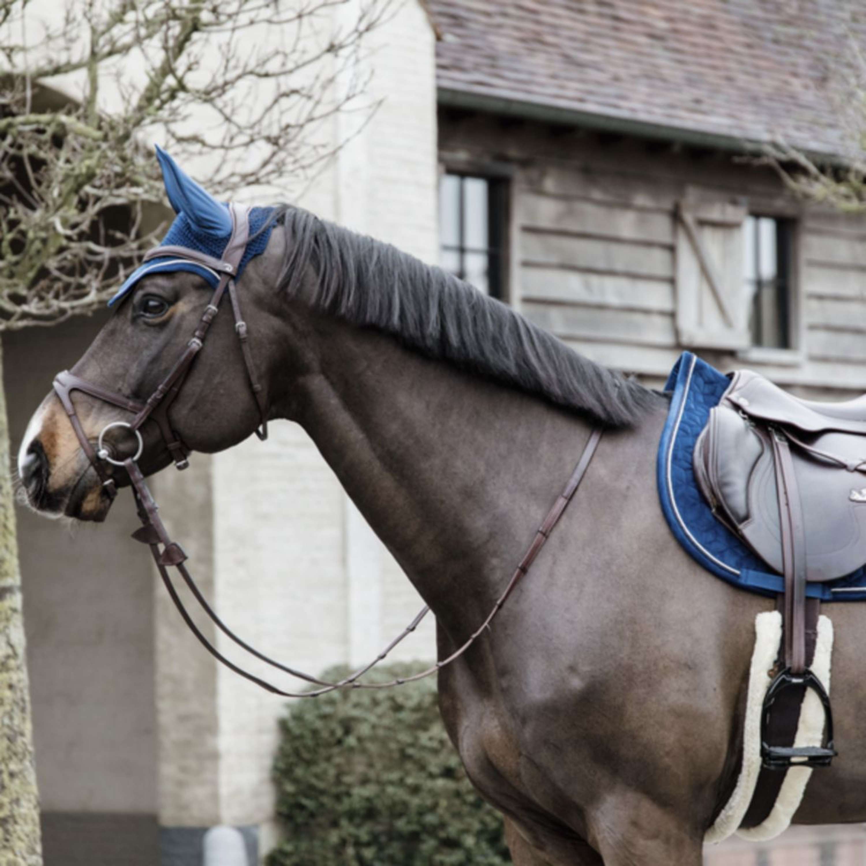 Kentucky Siateczka Na Uszy Wellington Basic Velvet Granatowy