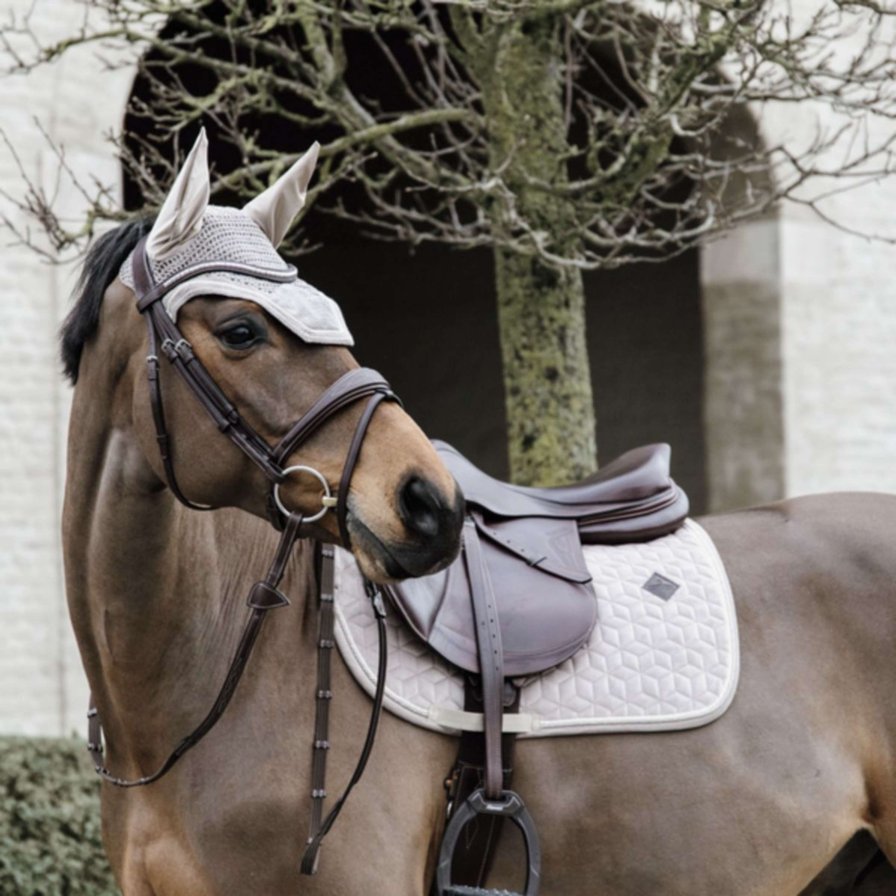 Nauszniki dla konia Kentucky Wellington Basic Velvet Beżowe