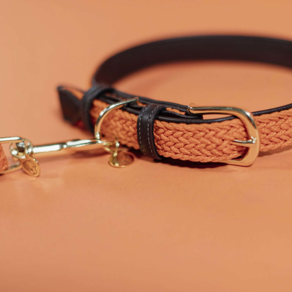 Kentucky Obroża Plaited Nylon Pomarańczowy