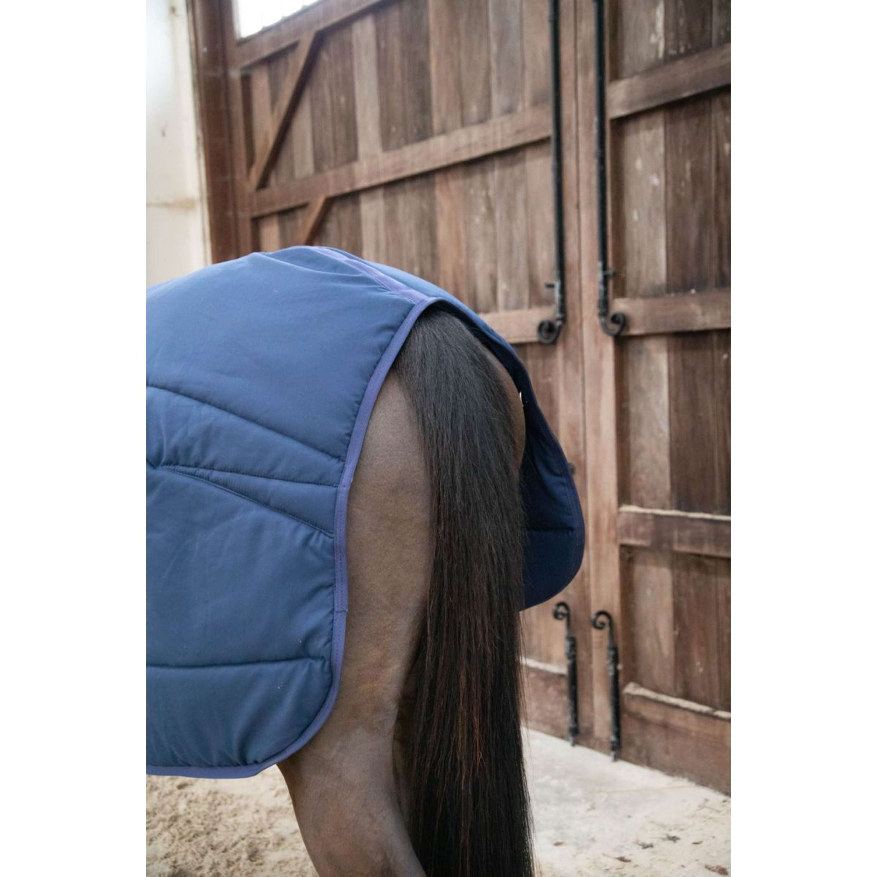 Kentucky Derka Spodnia Classic 100g Granatowy
