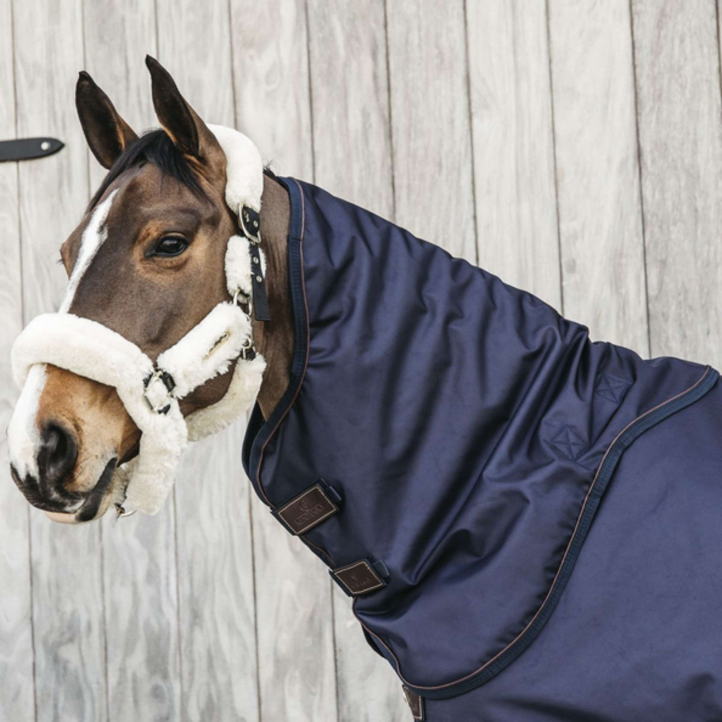 Kentucky Odpinany Kołnierz Do Derki All Weather Wodoodporny Pro 0g Granatowy