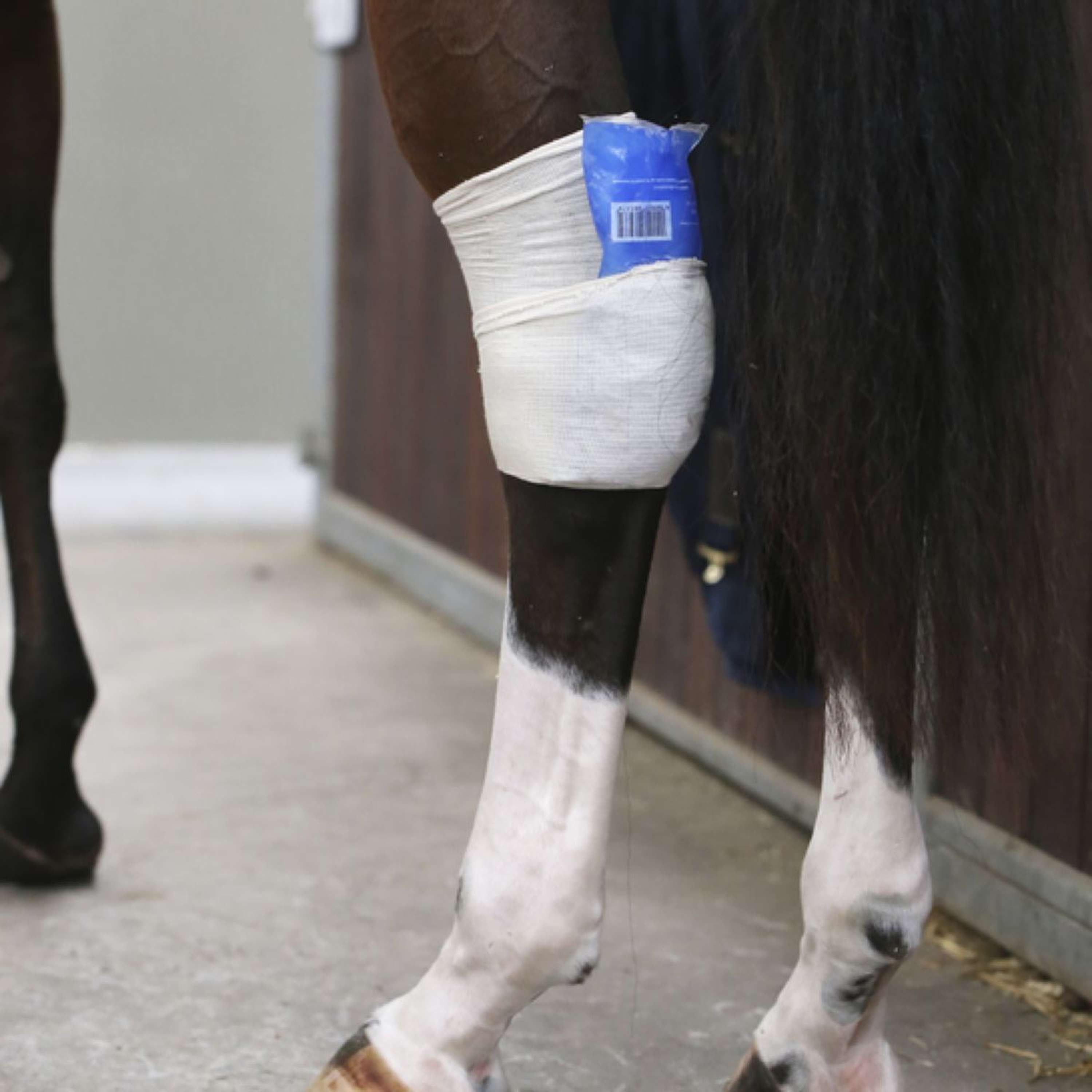 Kentucky Skarpeta Tendon Grip Beige