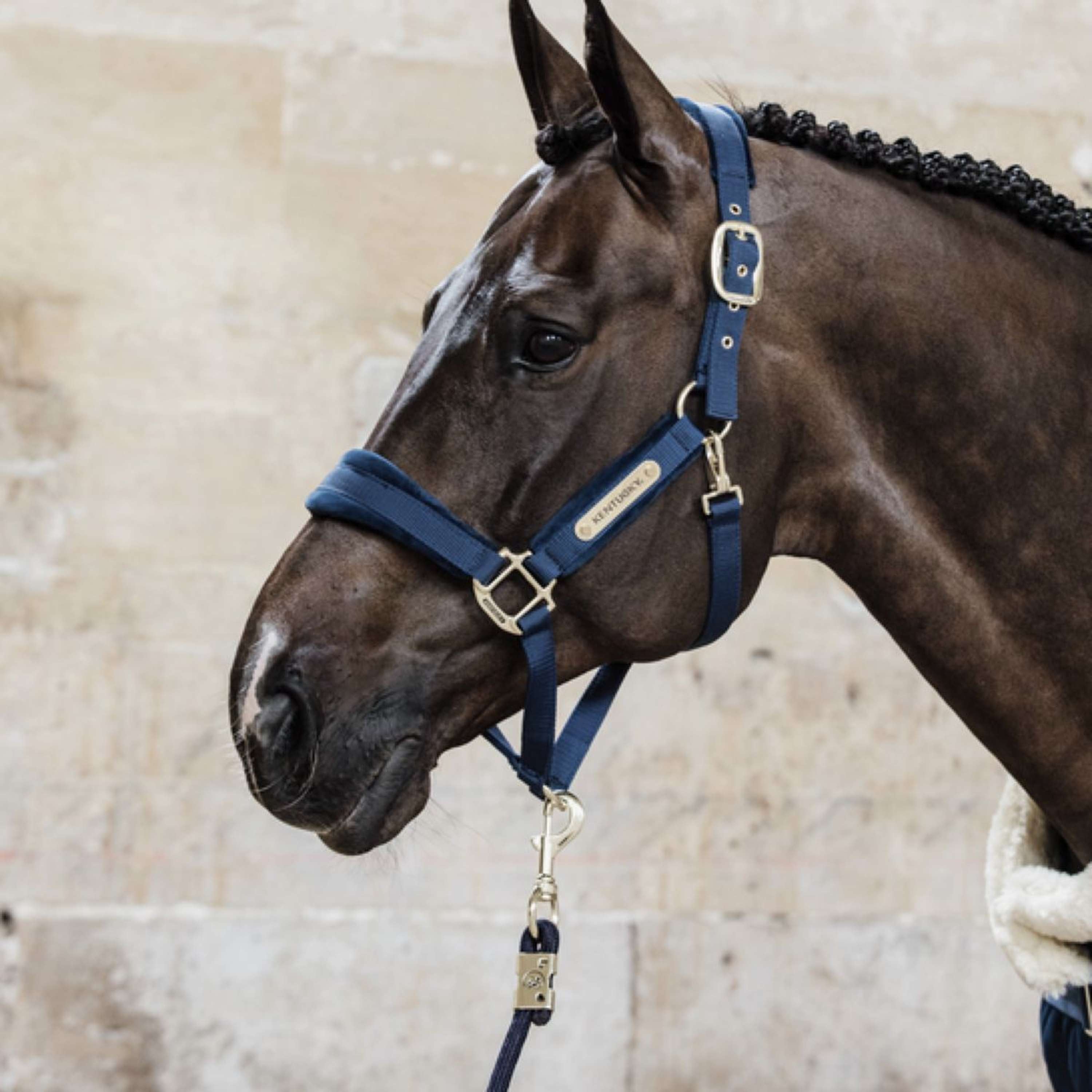 Kentucky Lina do prowadzenia Basic Granatowa