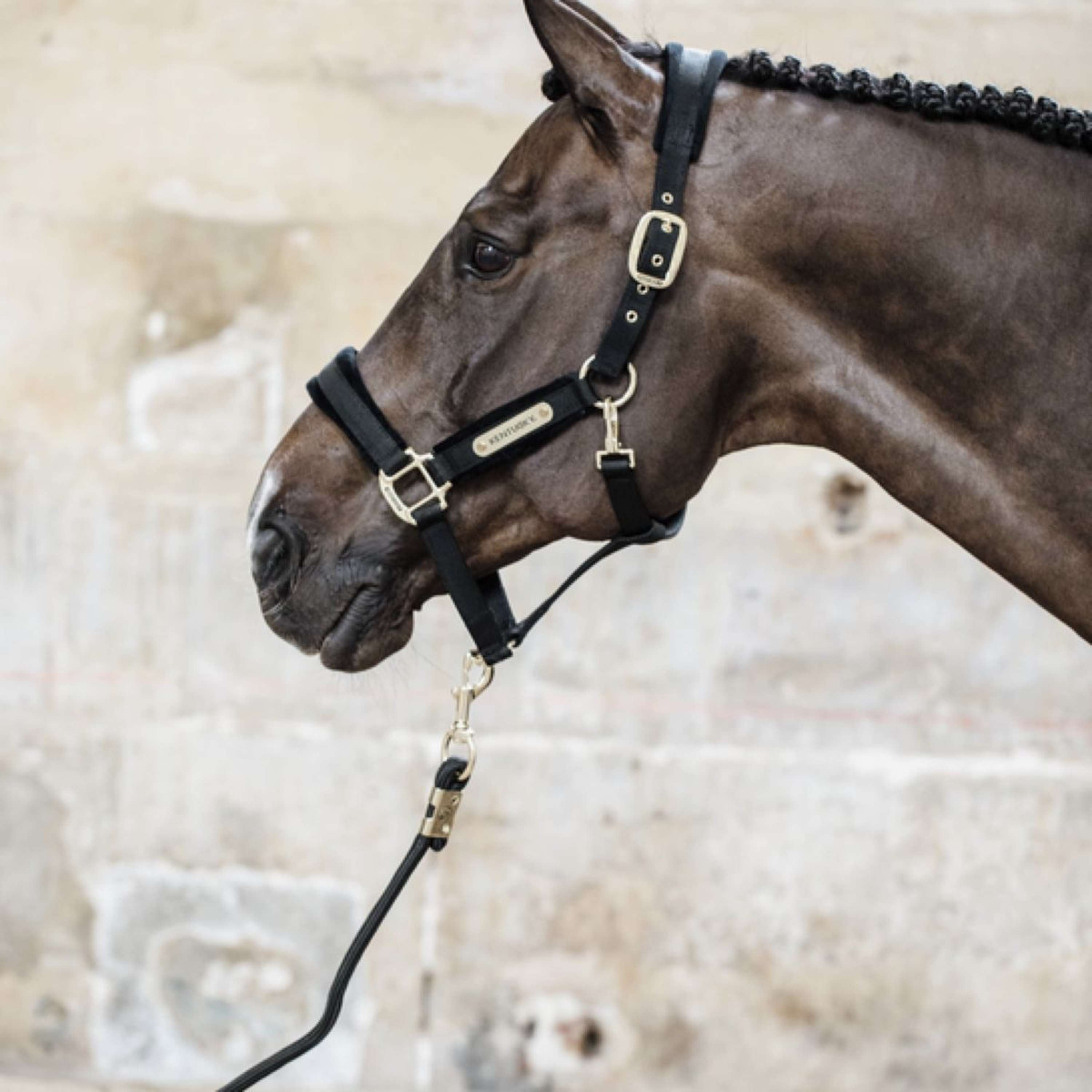 Kentucky Lina Do Prowadzenia Basic Czarny
