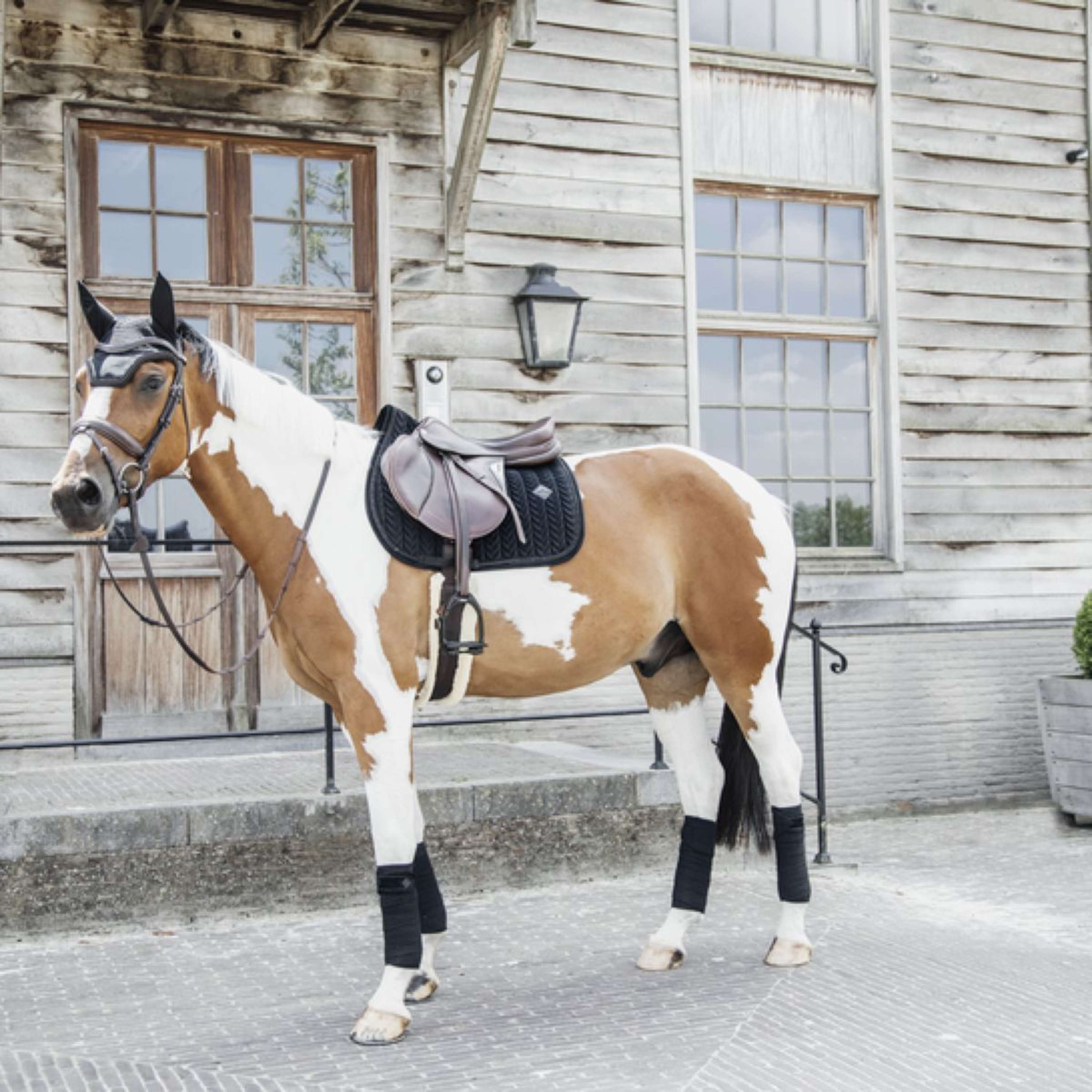 Kentucky Siateczka Na Uszy Wellington Velvet Pearls Czarny