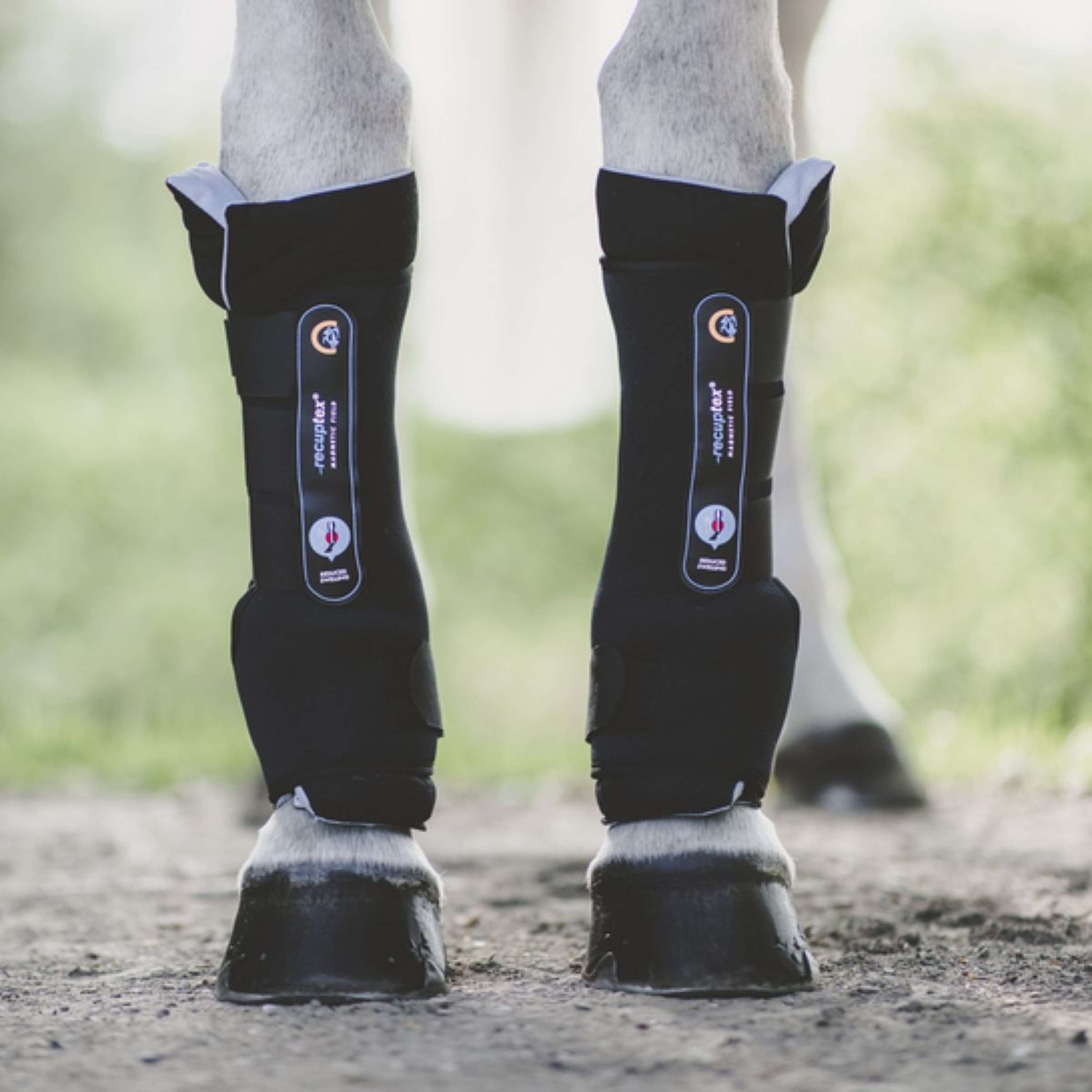 Kentucky Buty Stajenne Recuptex Magnetic Czarny
