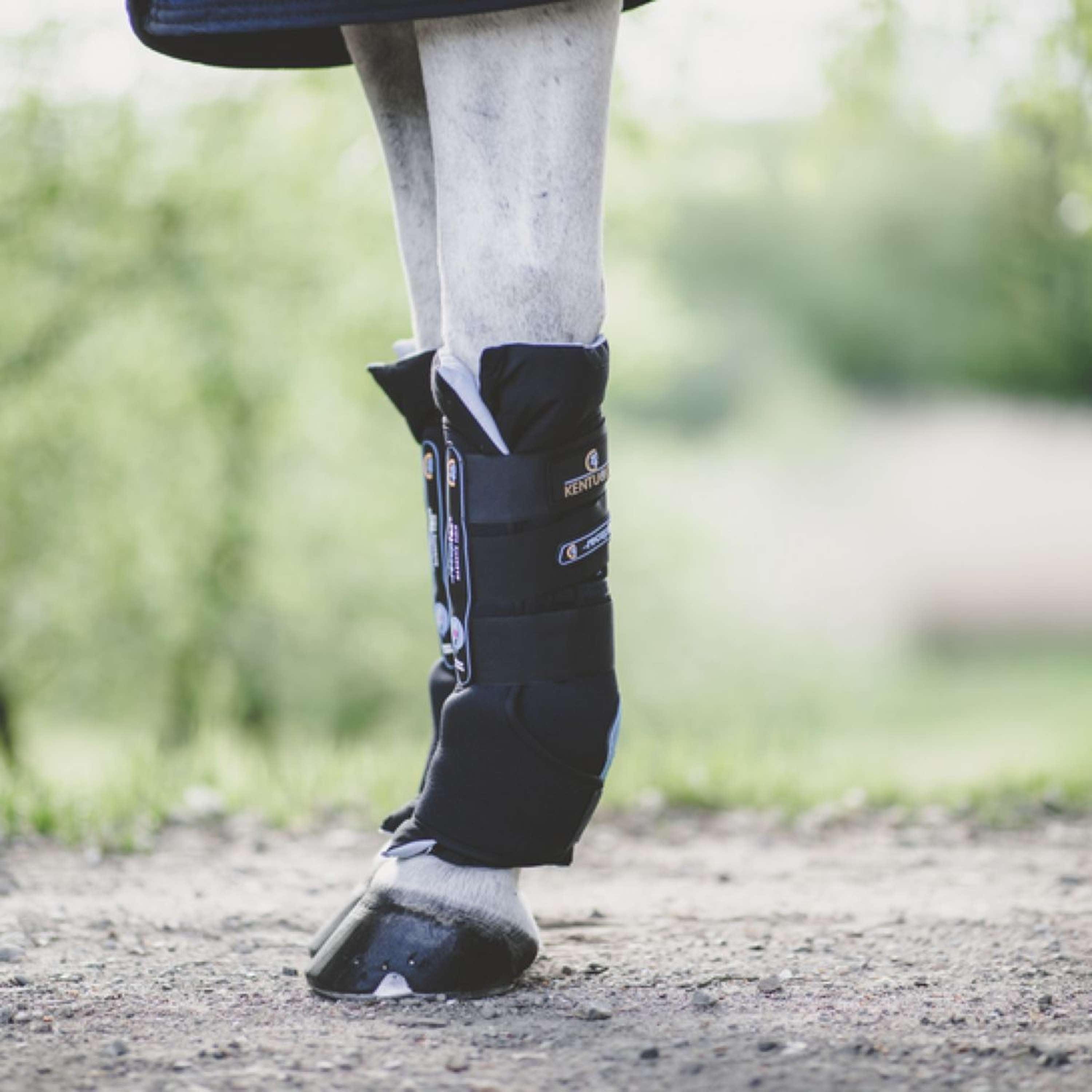 Kentucky Buty Stajenne Recuptex Magnetic Czarny