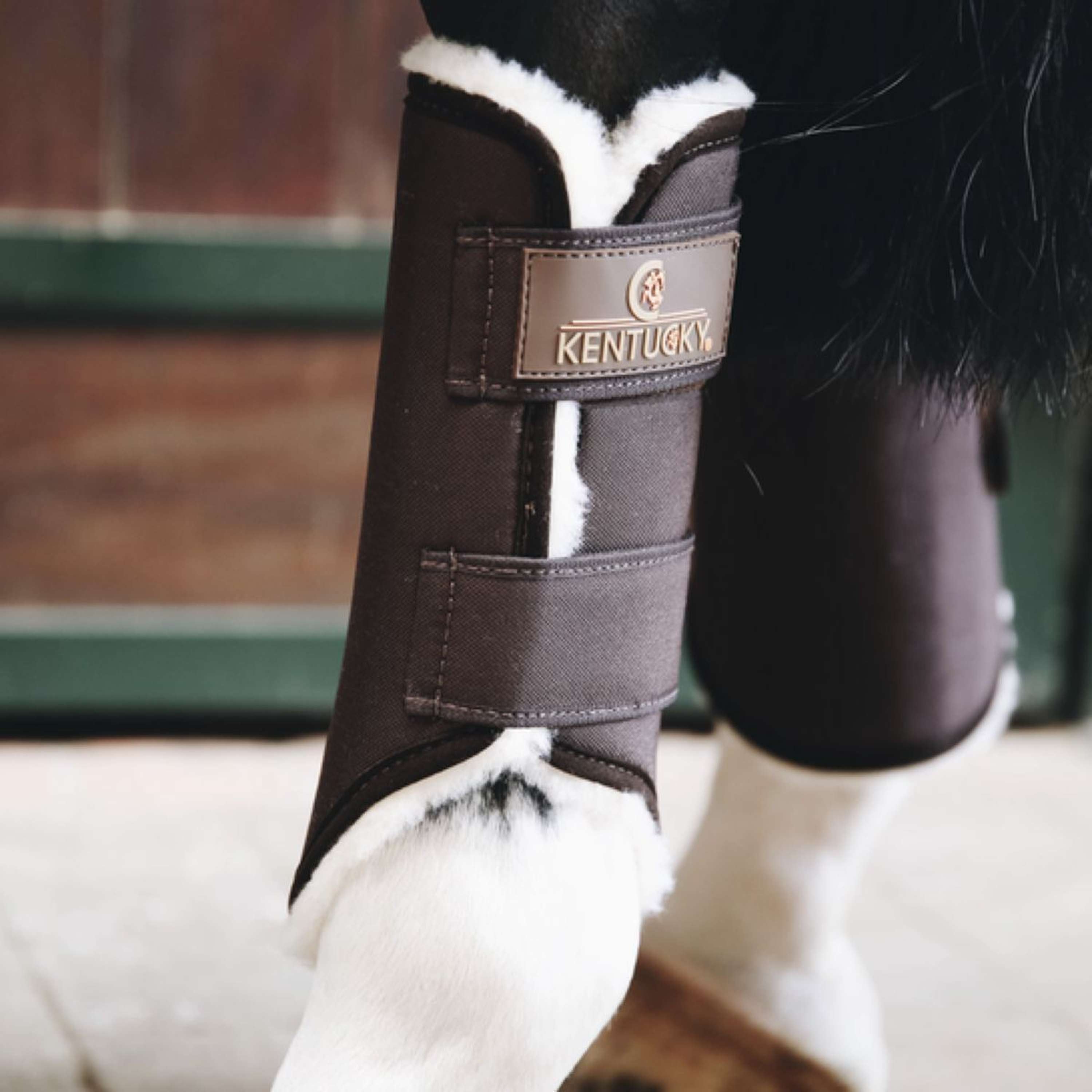 Kentucky Turnout Boots Solimbra Przednie Nogi Brązowy