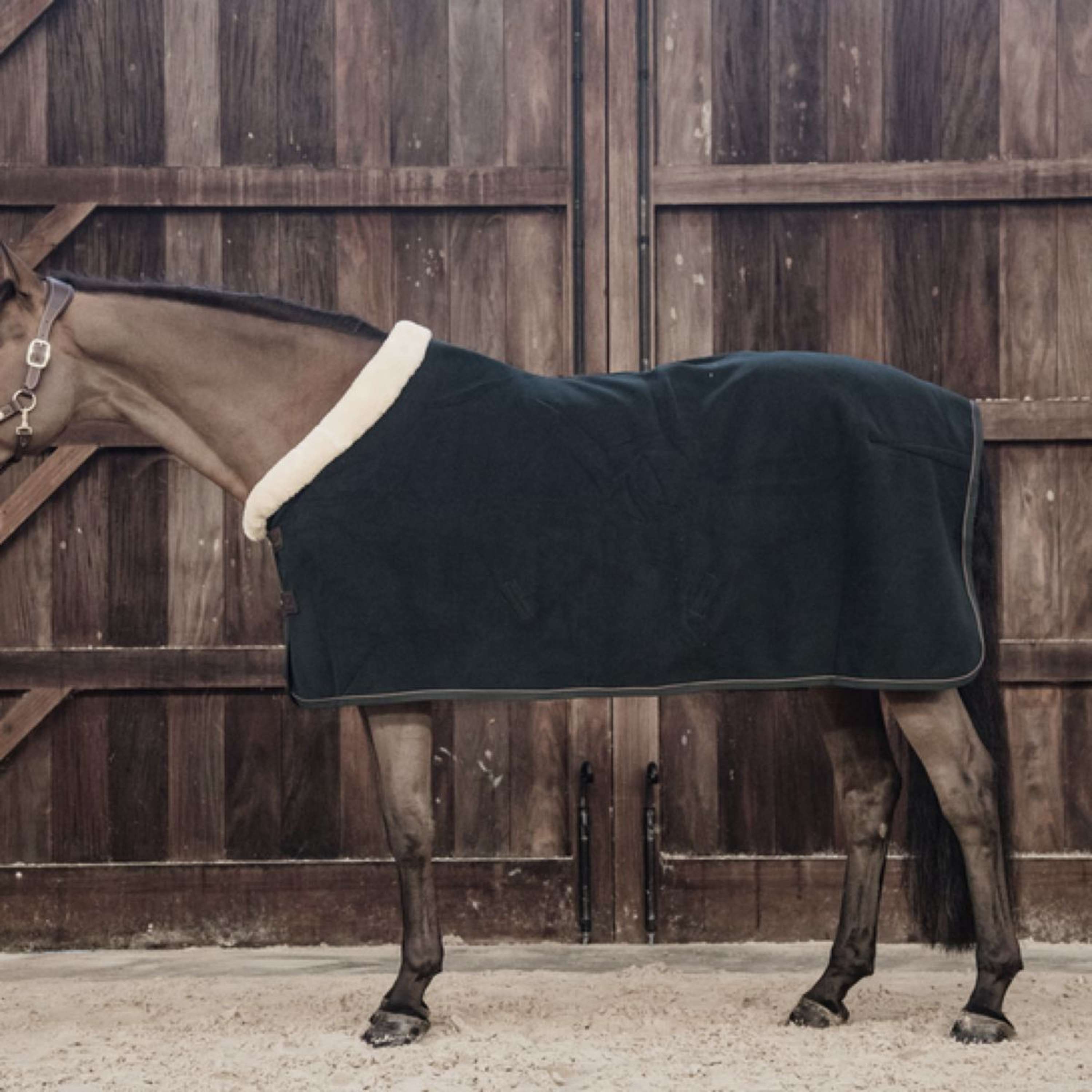 Kentucky Derka Na Pot Show Fleece Heavy Zielony