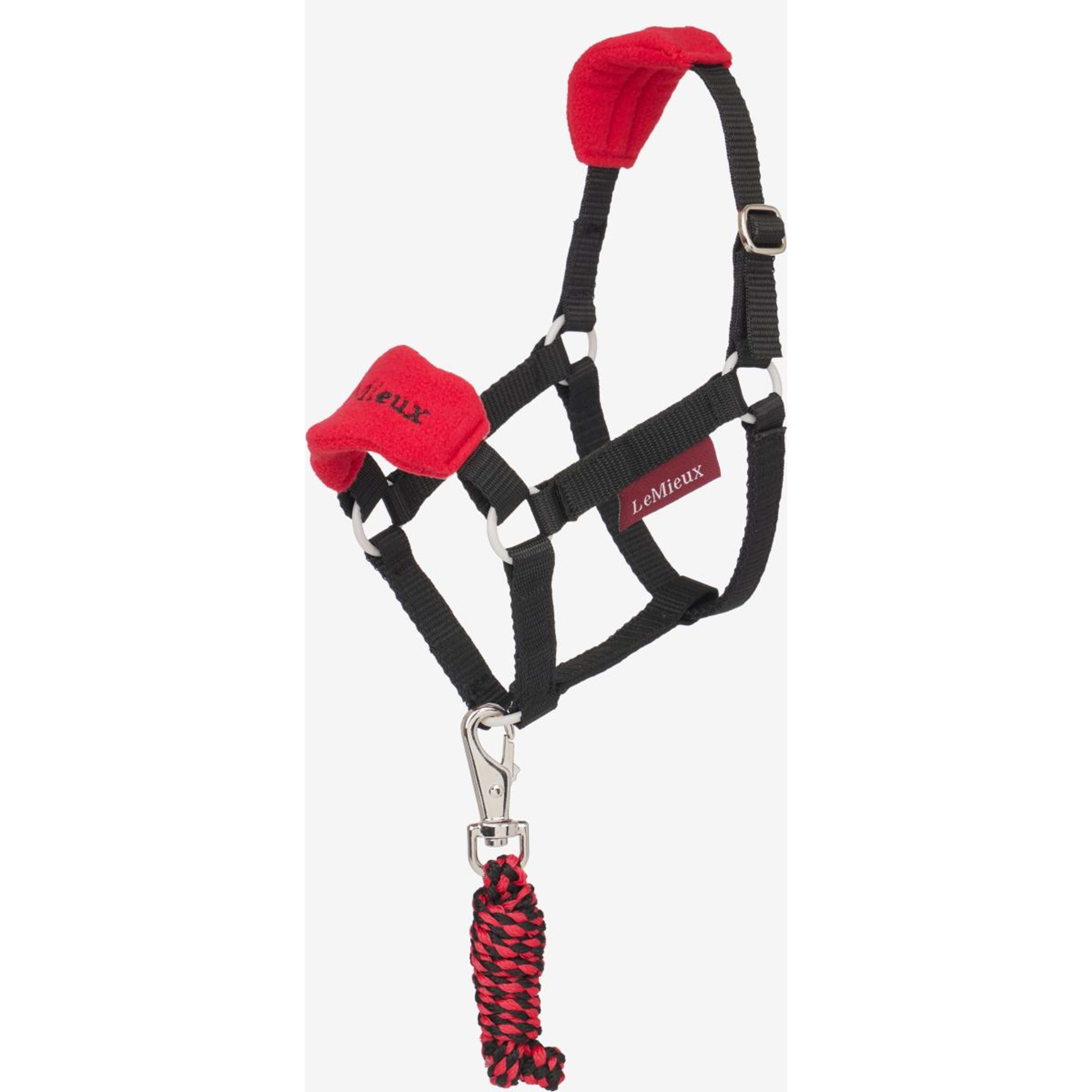 LeMieux Kij Konik Zestaw Kantara Vogue Chili
