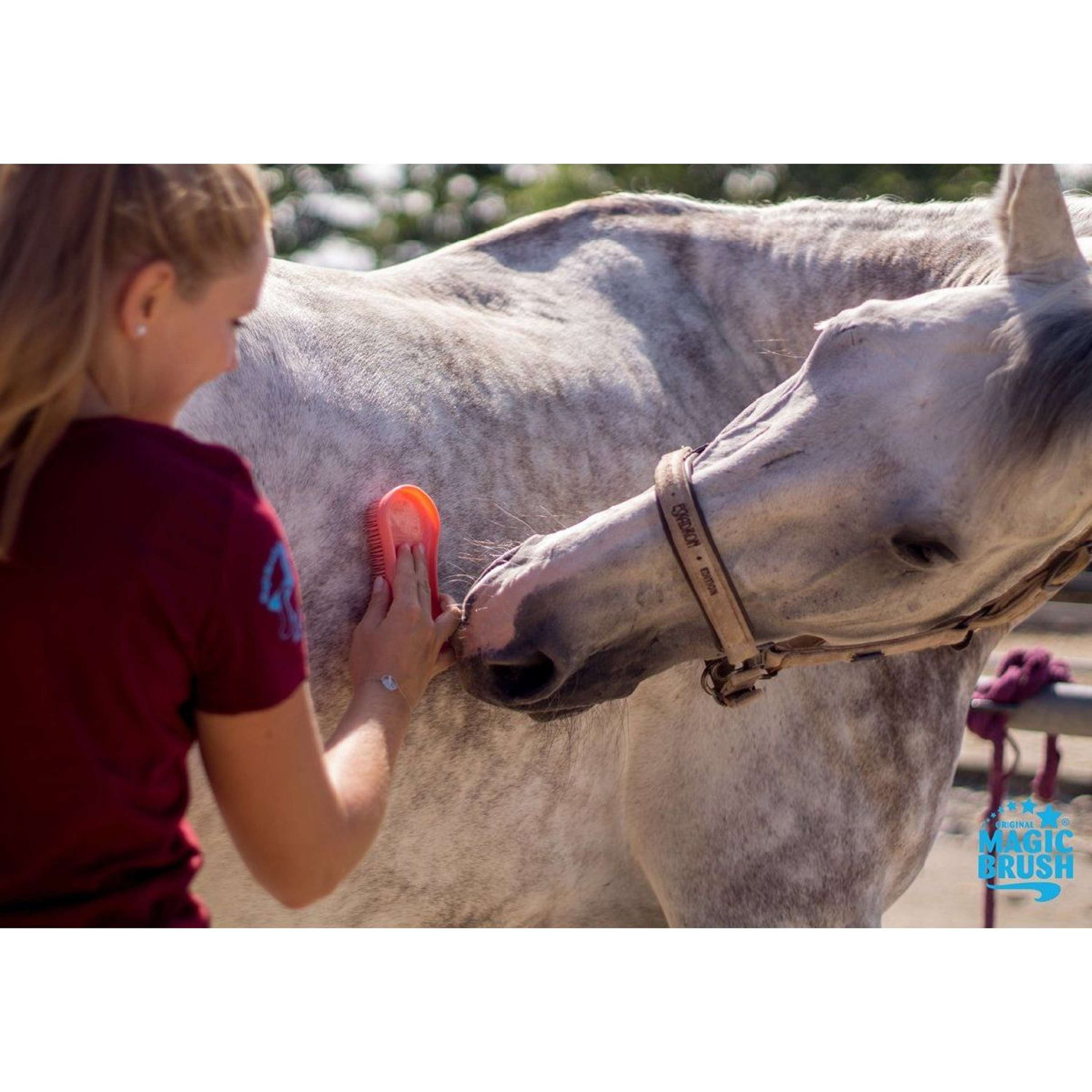 Agradi Horse Magic Brush Szczotka Ciemnozielony