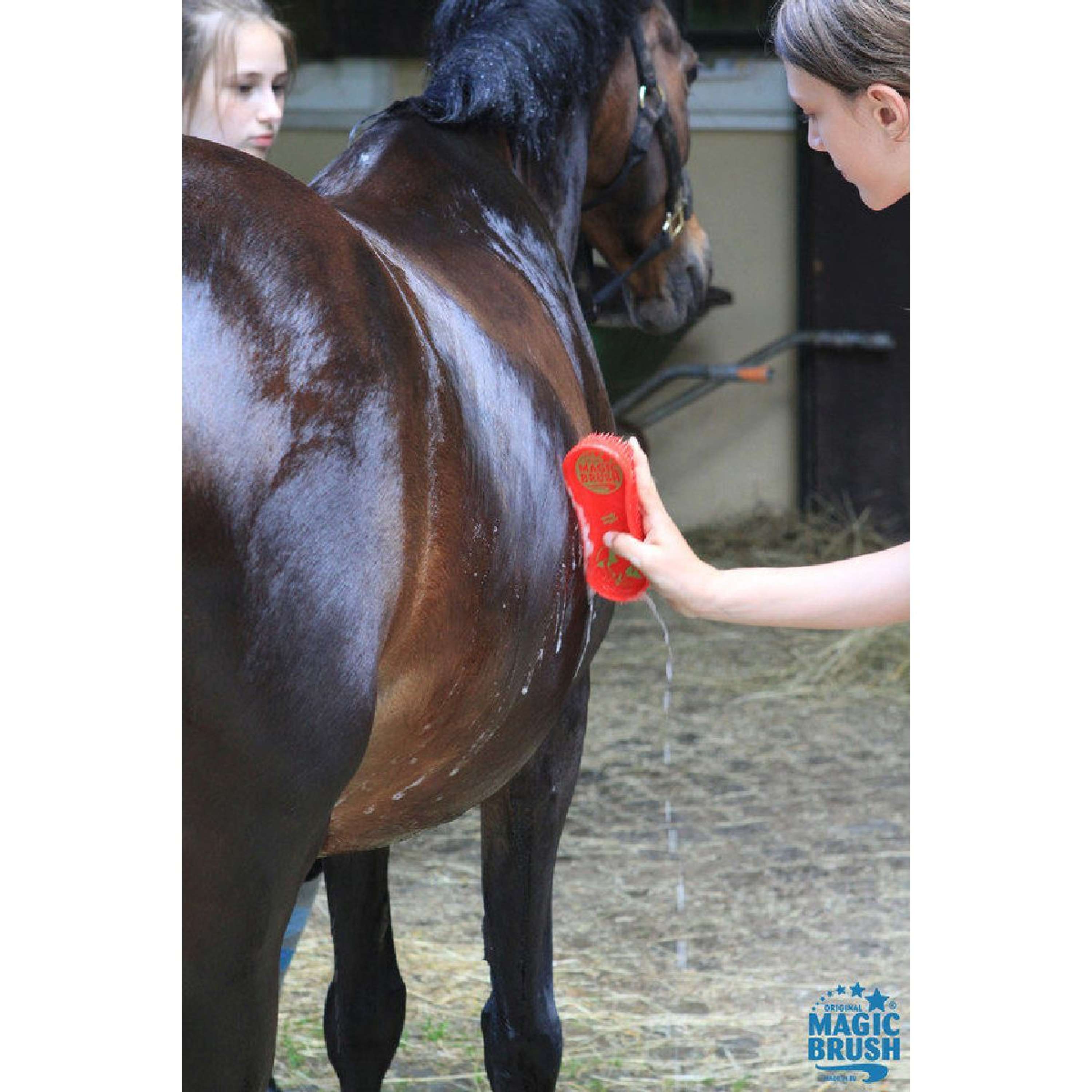 Agradi Horse Magic Brush Szczotka Ciemnozielony