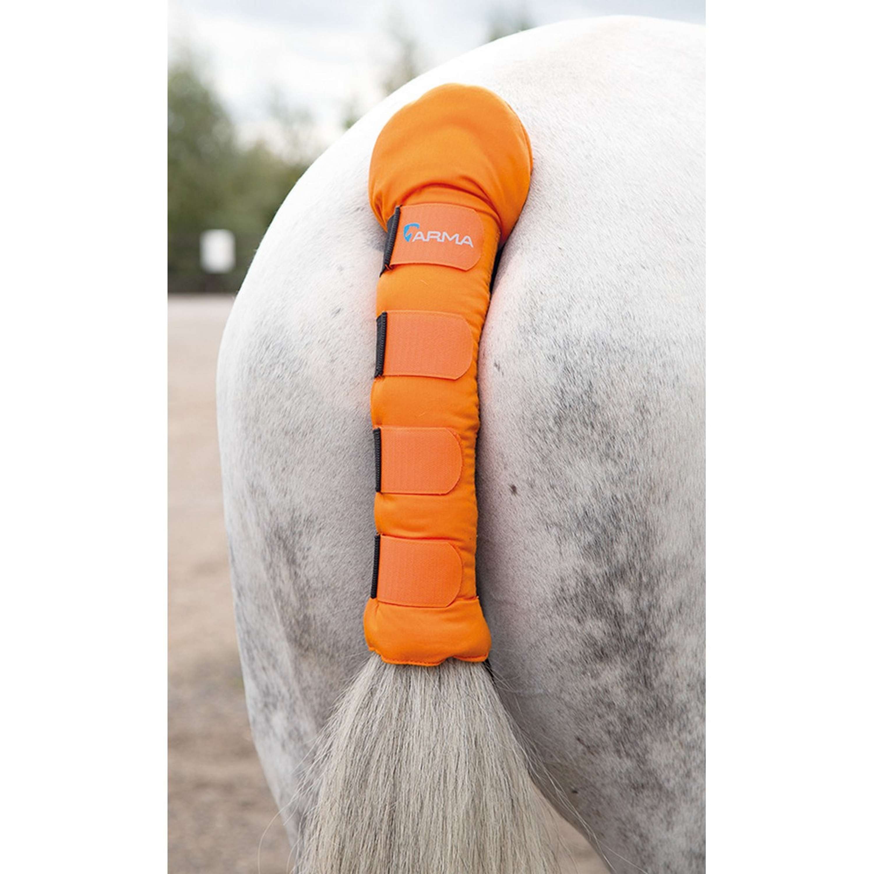Arma by Shires Tail Guard Orange