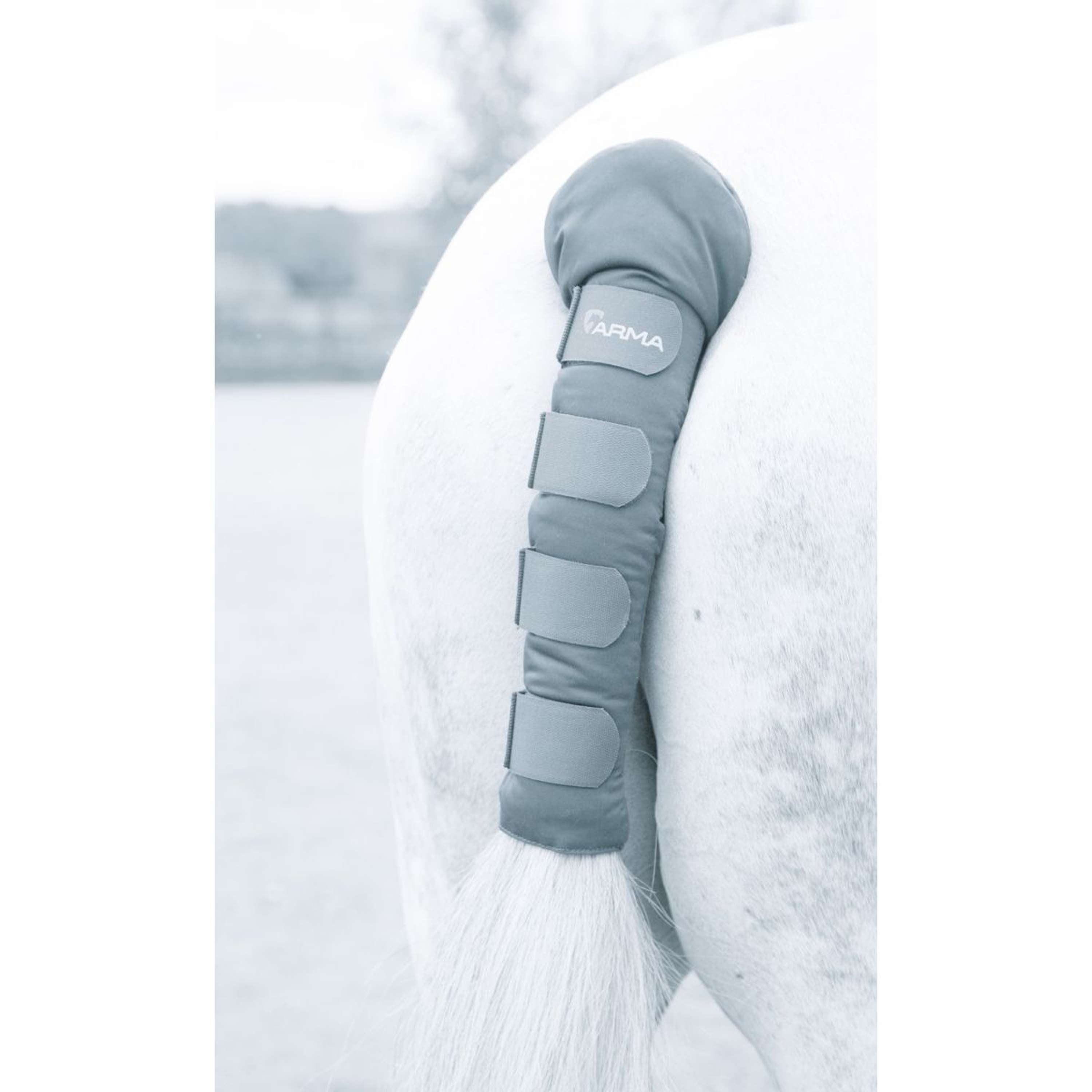 Arma by Shires Tail Guard Grey