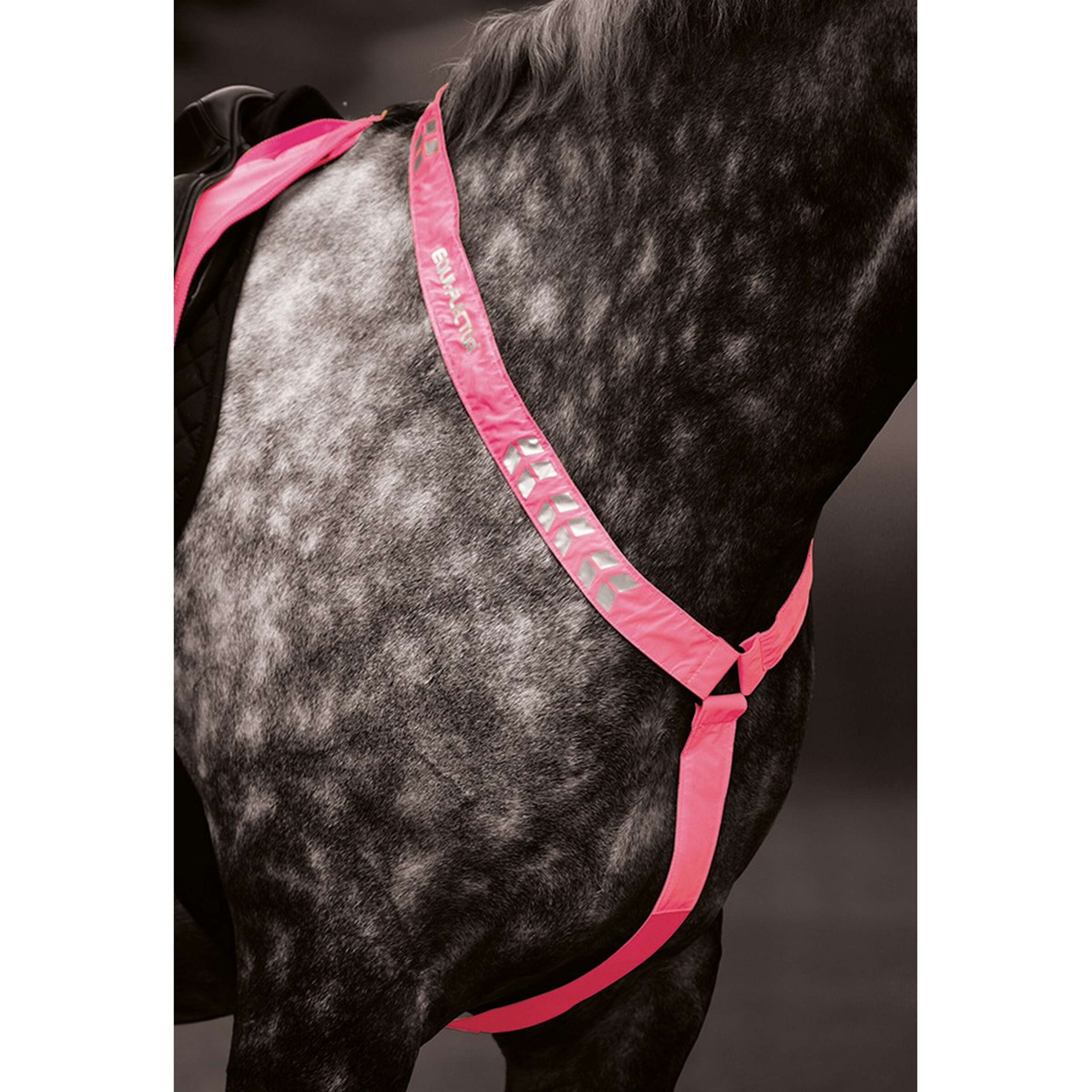 Equi-Flector by Shires Pasek Przedni Odblaskowy Fluorescencyjny Różowy