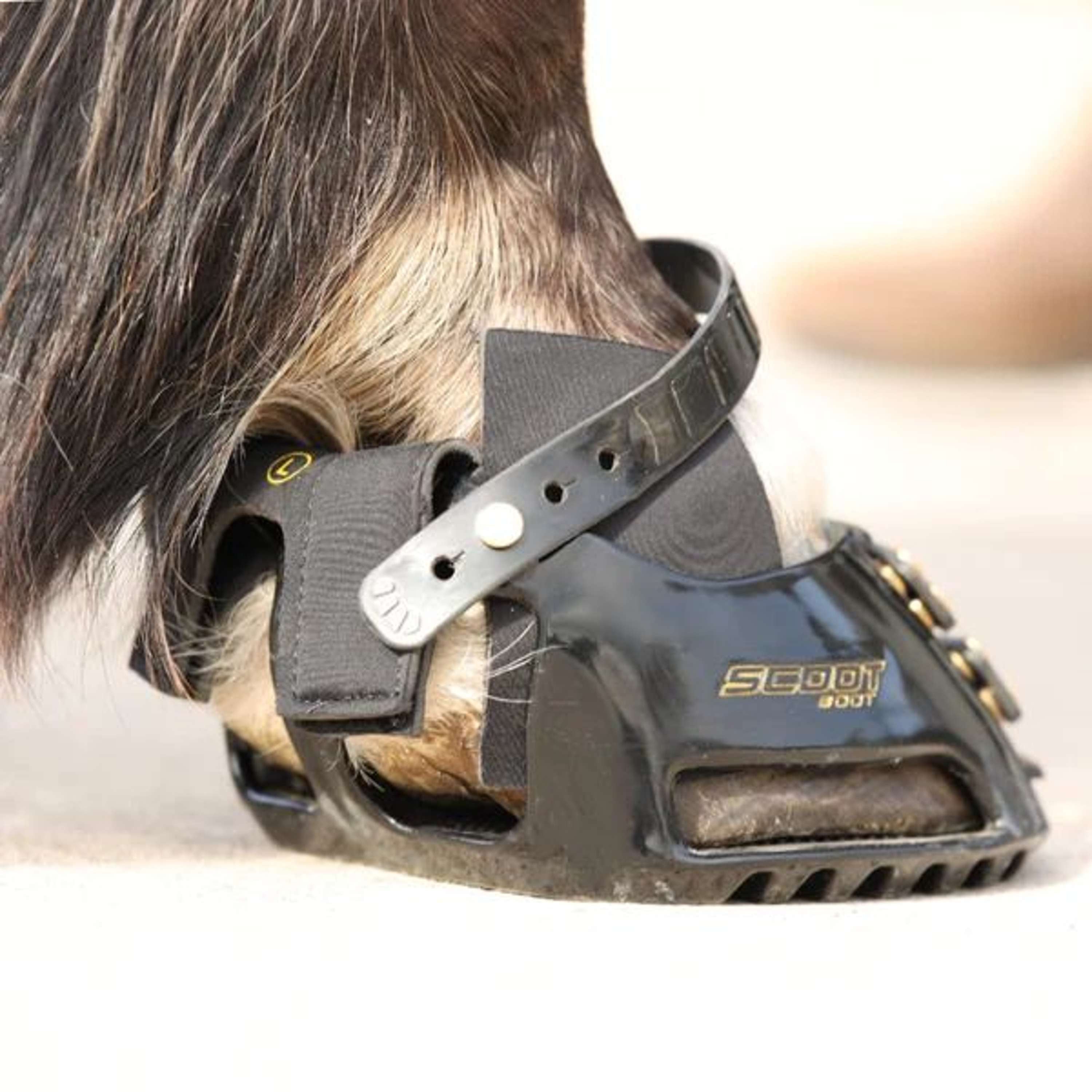 Scoot Boot Hybrid Gaiter Czarny