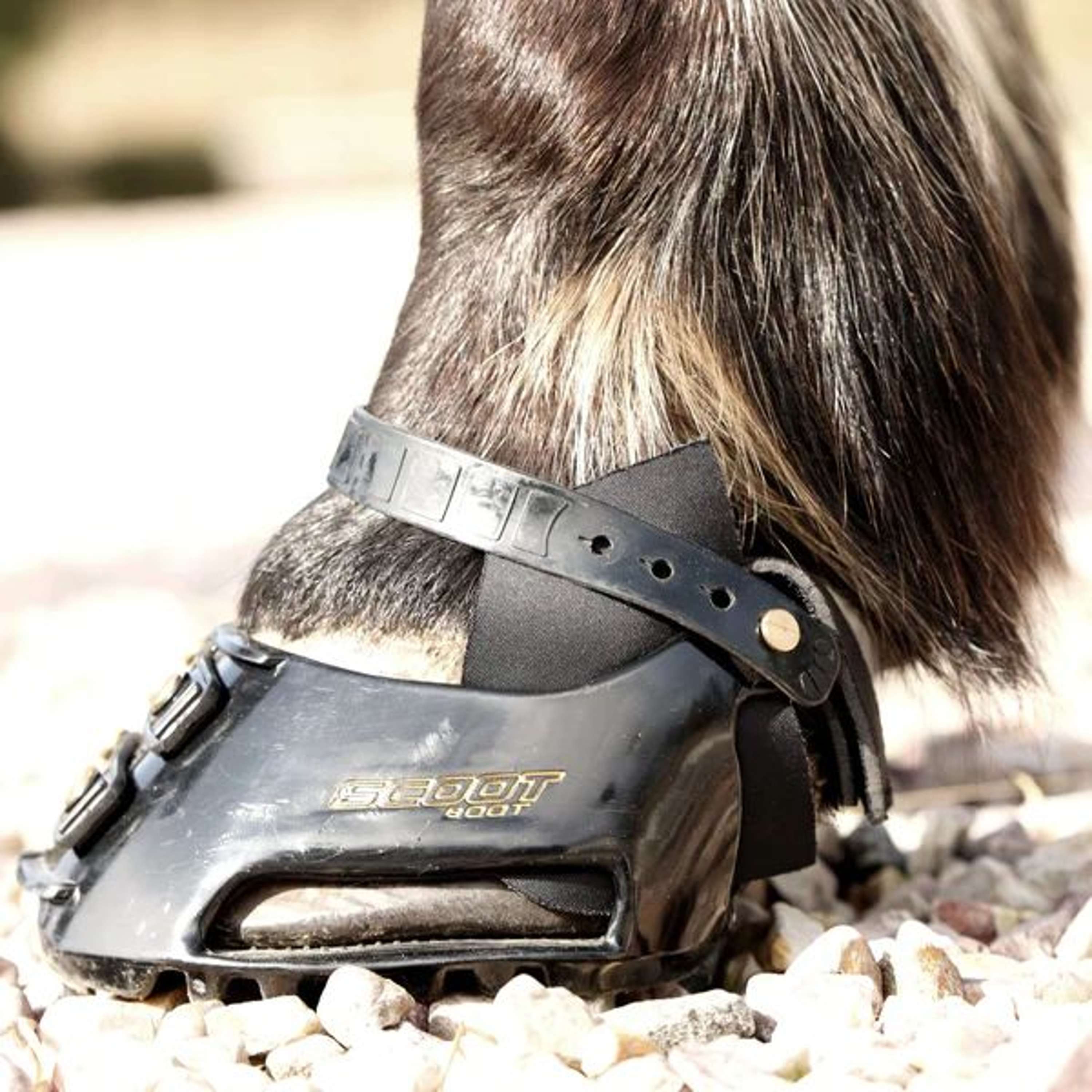 Scoot Boot Hybrid Gaiter Czarny