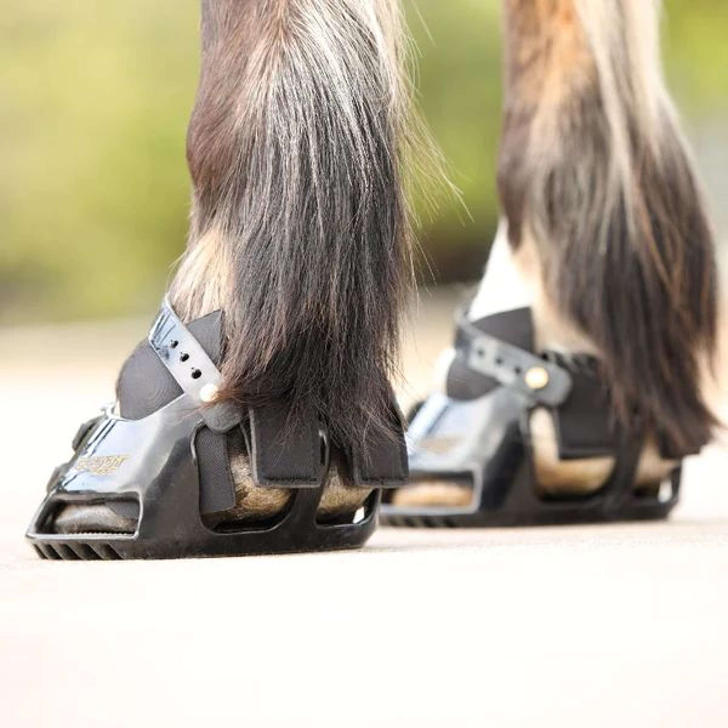 Scoot Boot Hybrid Gaiter Czarny