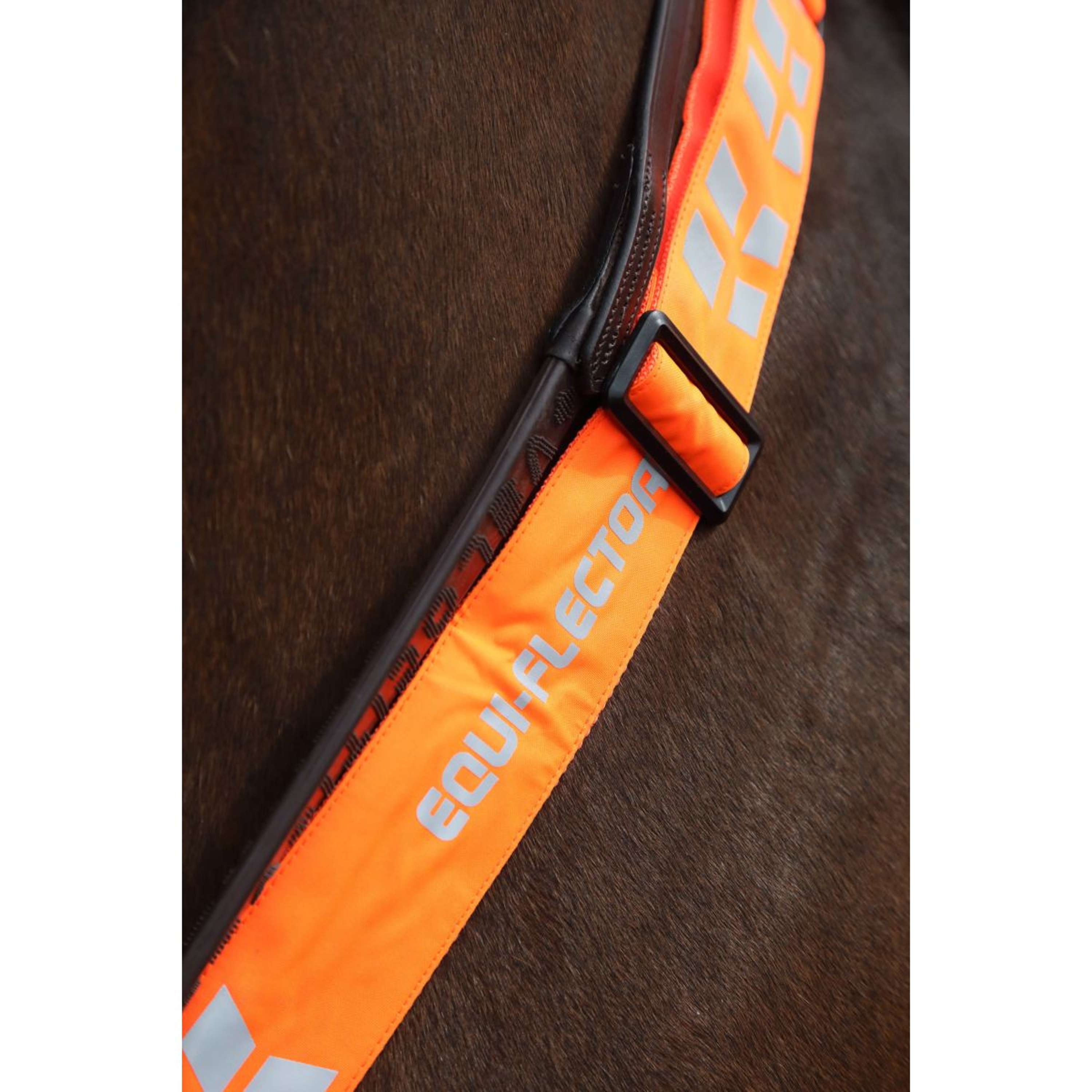 Equi-Flector by Shires Pasek Przedni Odblaskowy Pomarańczowy