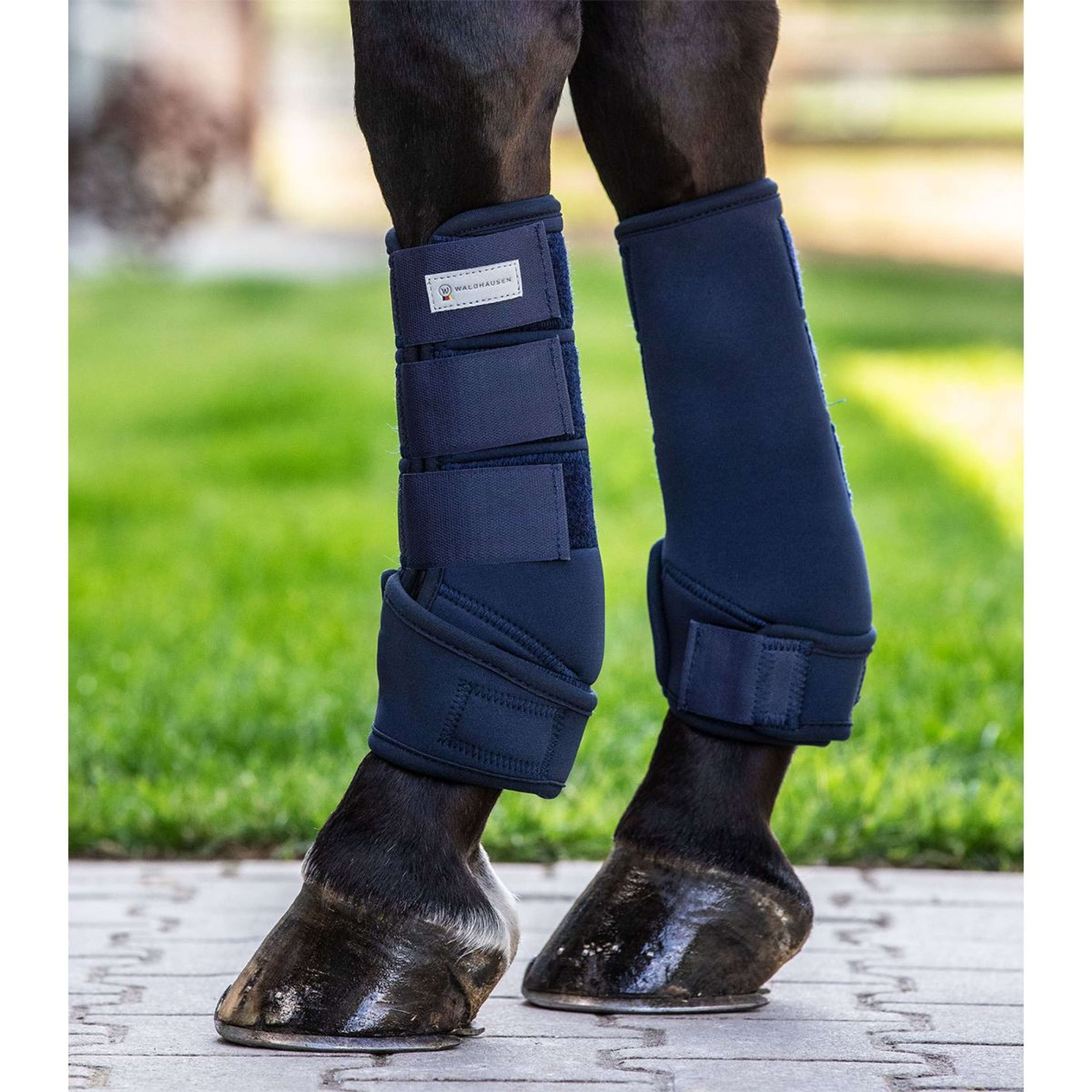 Waldhausen Ochraniacz Protect Nightblue