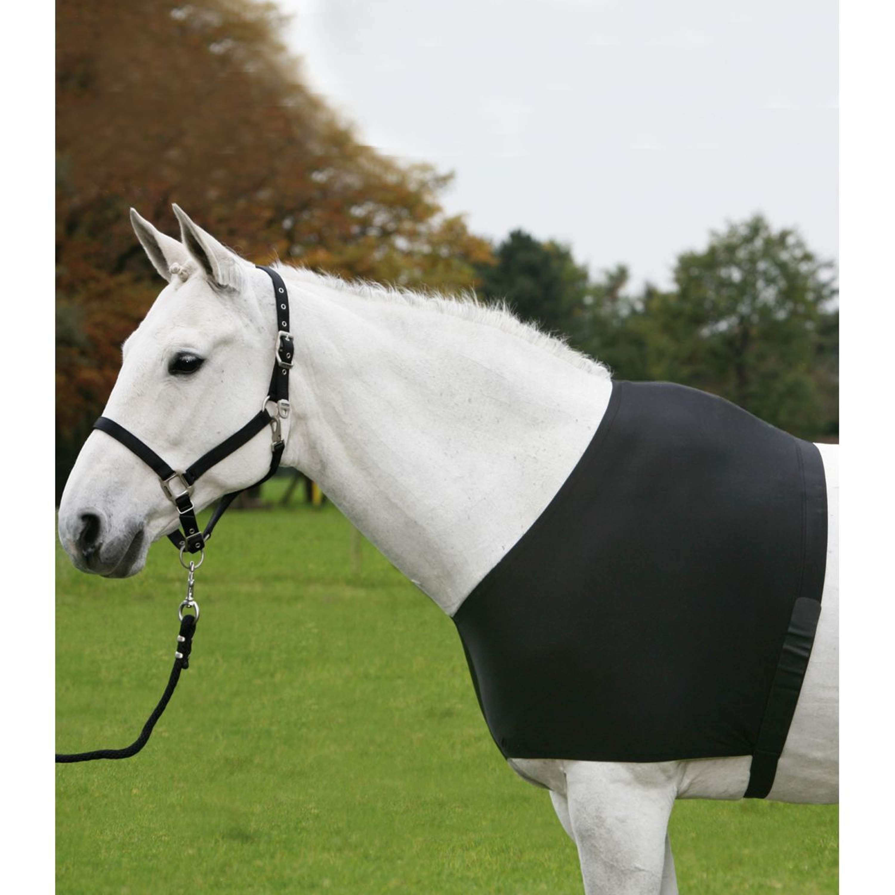 Waldhausen Ochraniacz na klatkę piersiową Comfort z kapturem i zamkiem, czarny