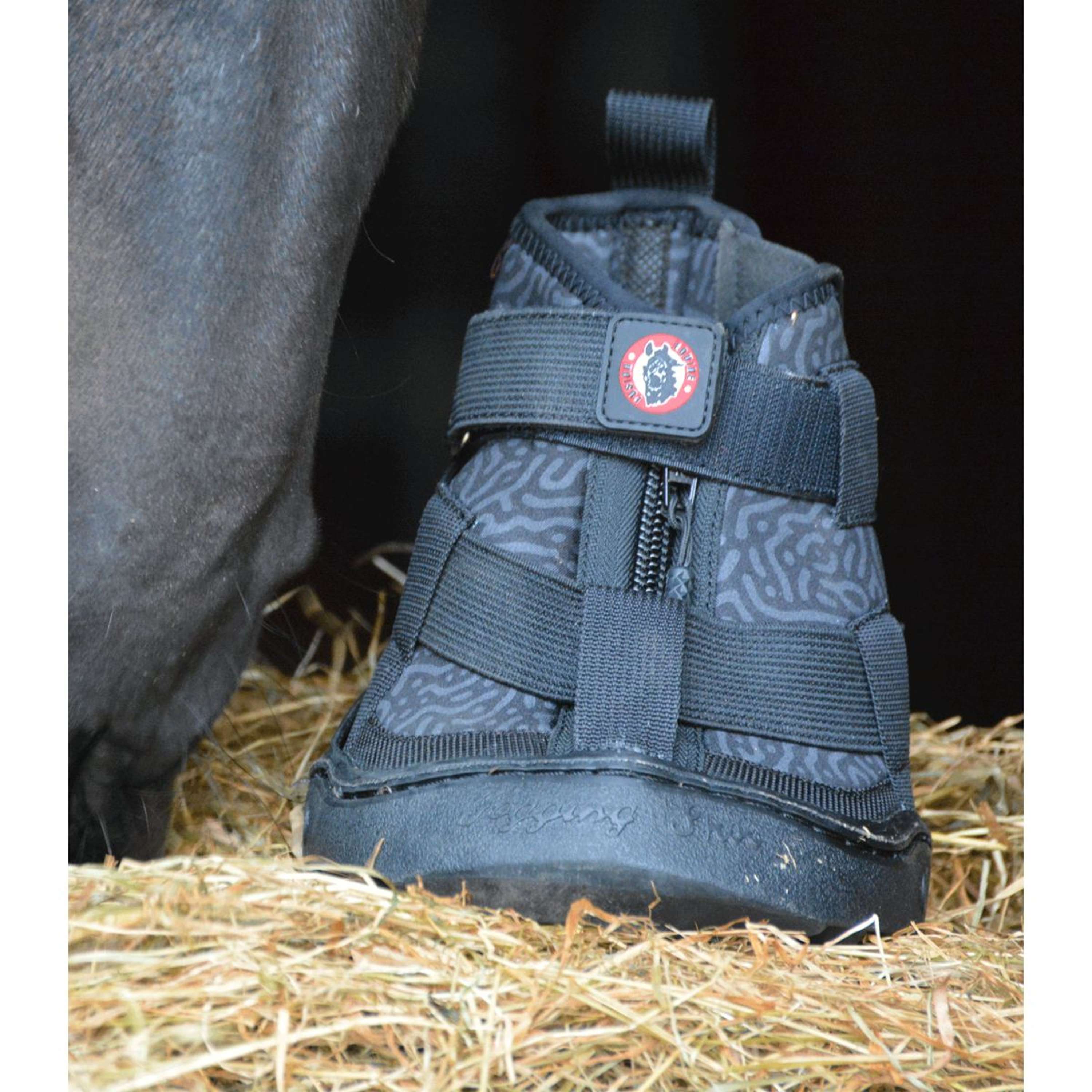 Equine Fusion Podkowa 2.0