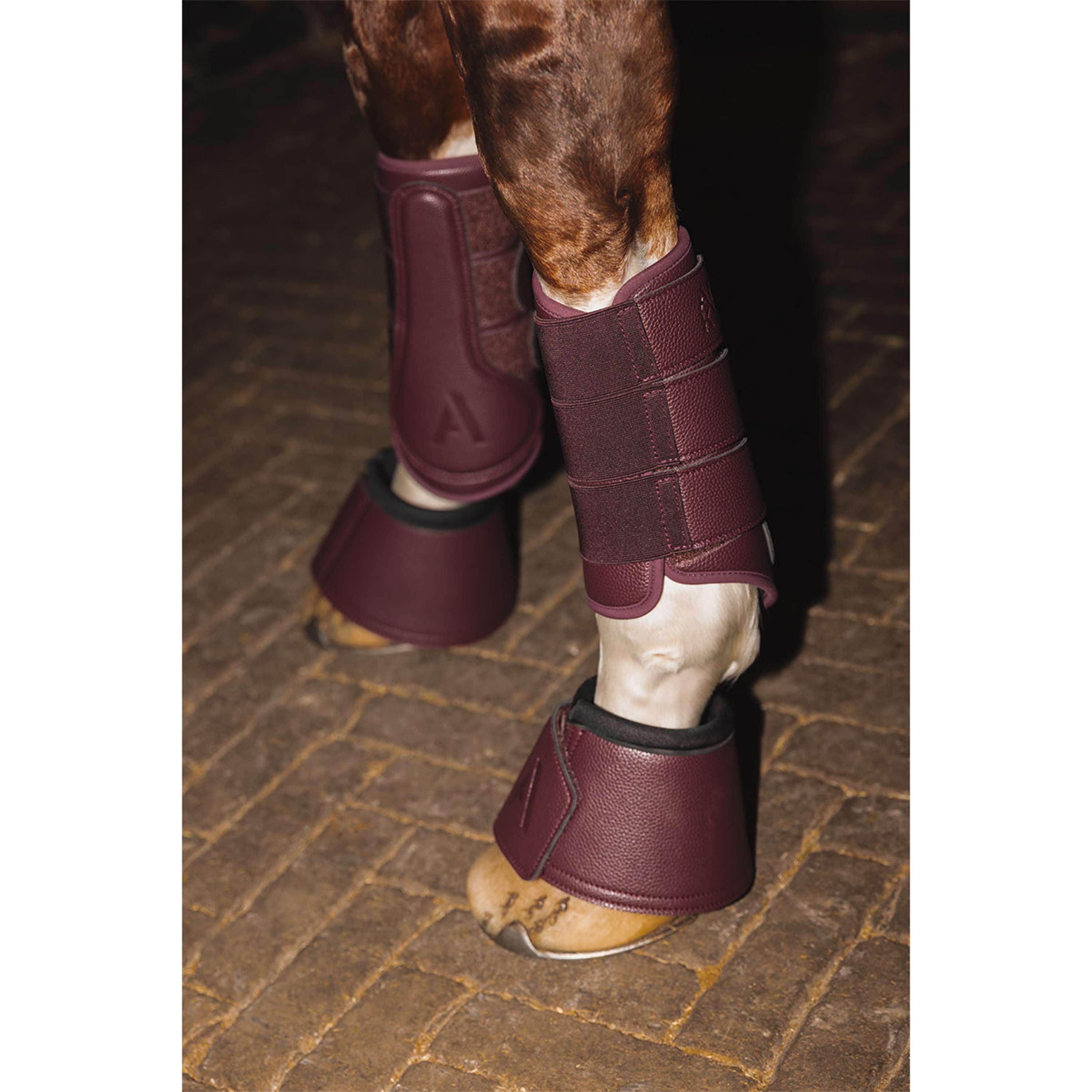ANKY Buty Ujeżdżeniowe ATB25005 3C Sassafras