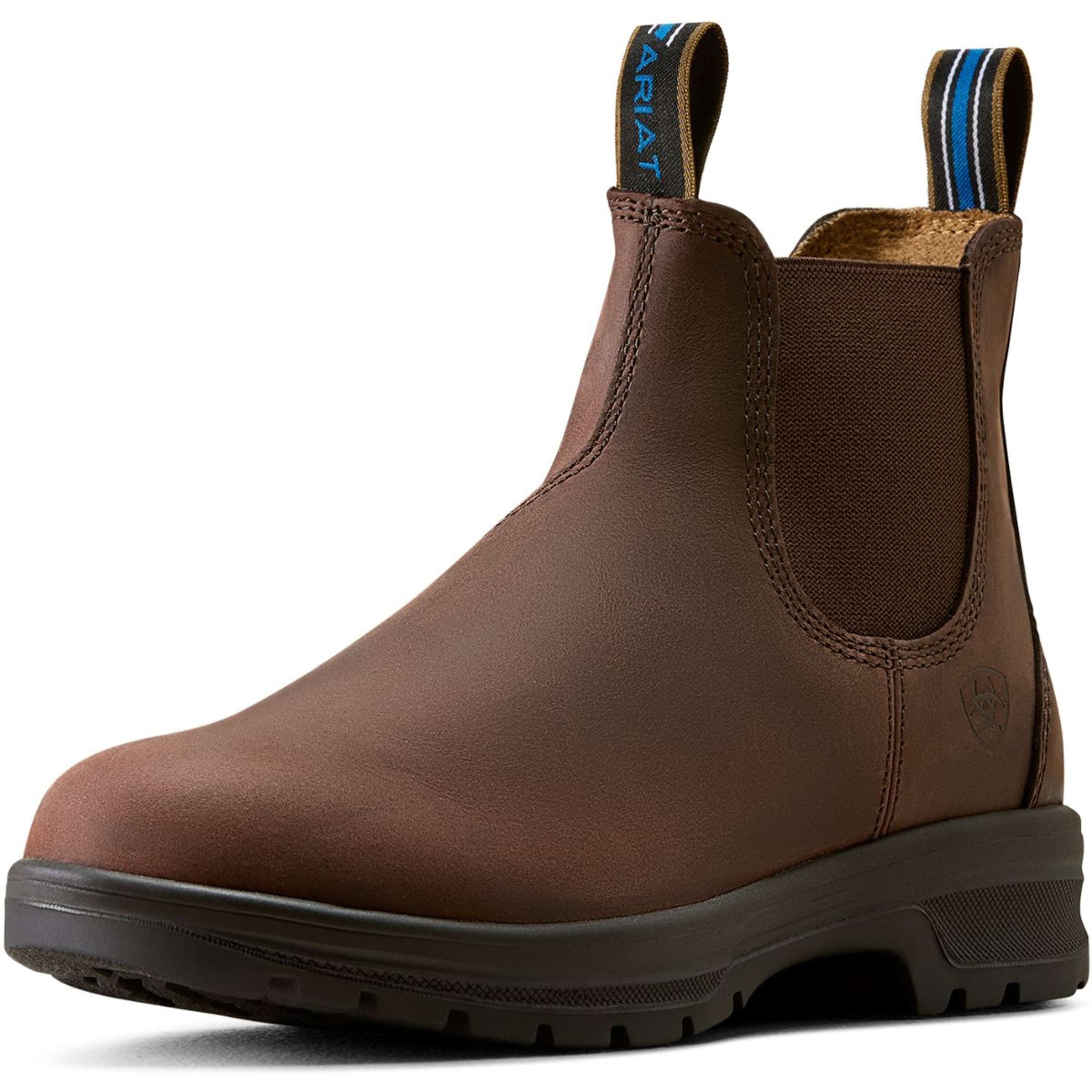 Ariat Jodhpury Cooper Damski Brunette