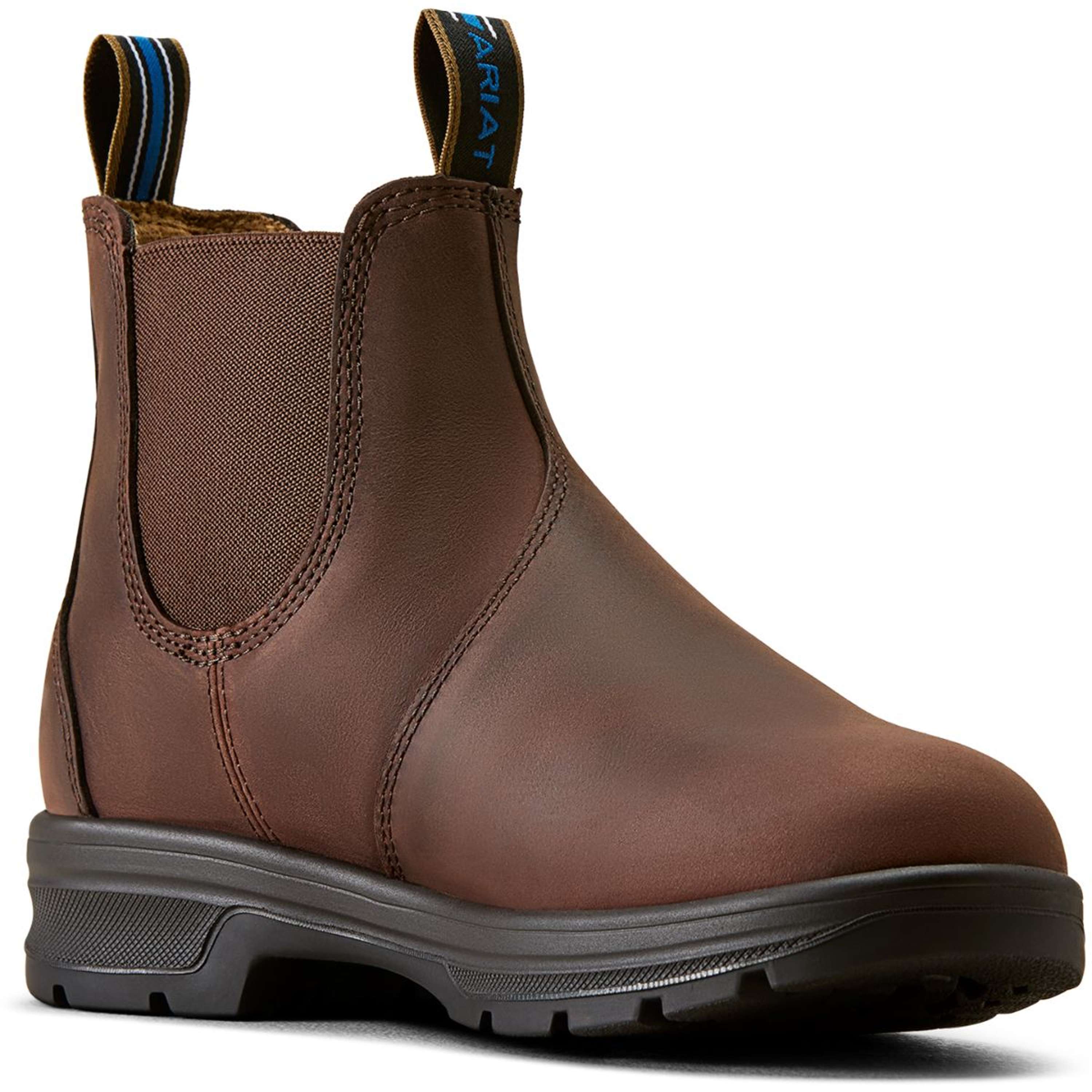 Ariat Jodhpury Cooper Damski Brunette