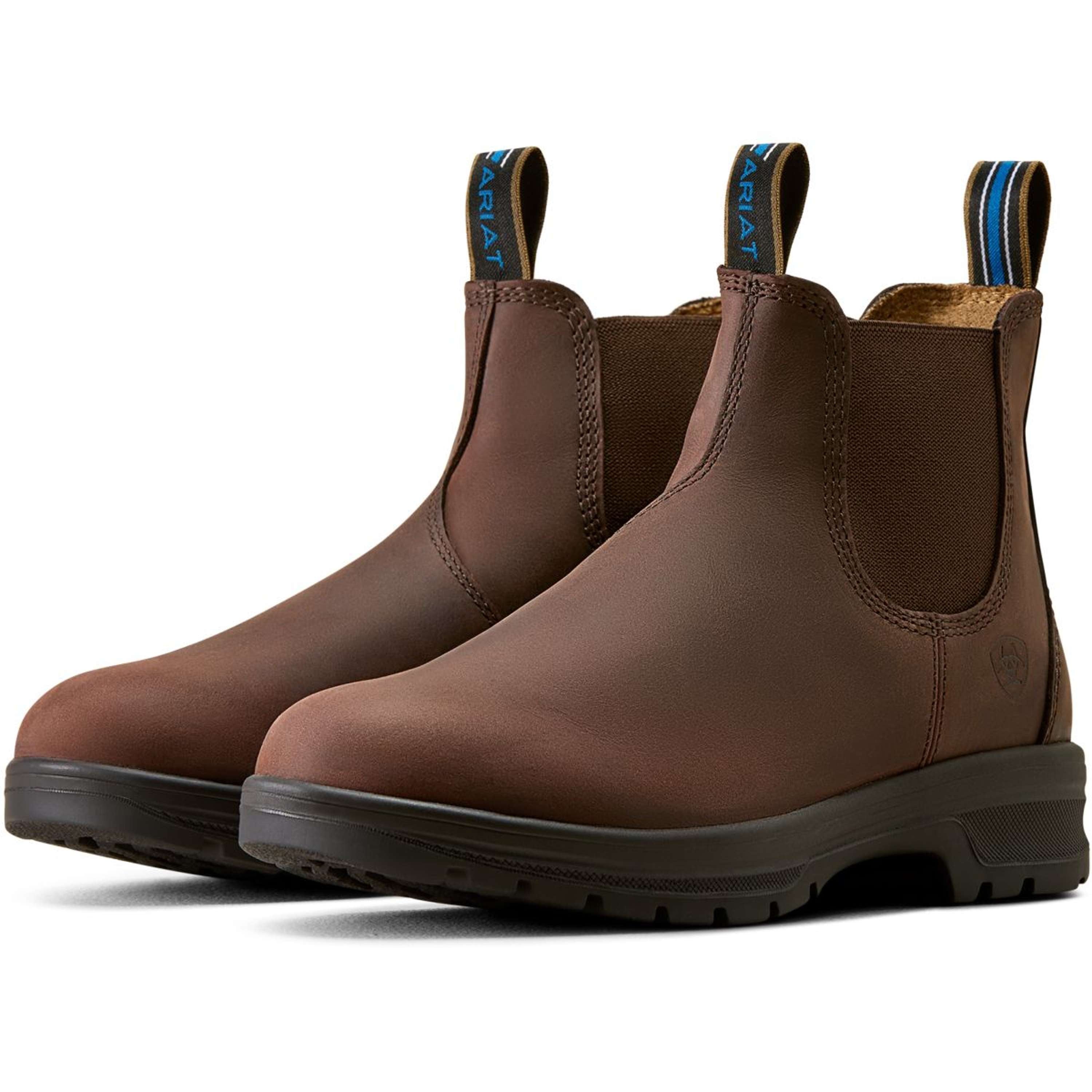 Ariat Jodhpury Cooper Damski Brunette