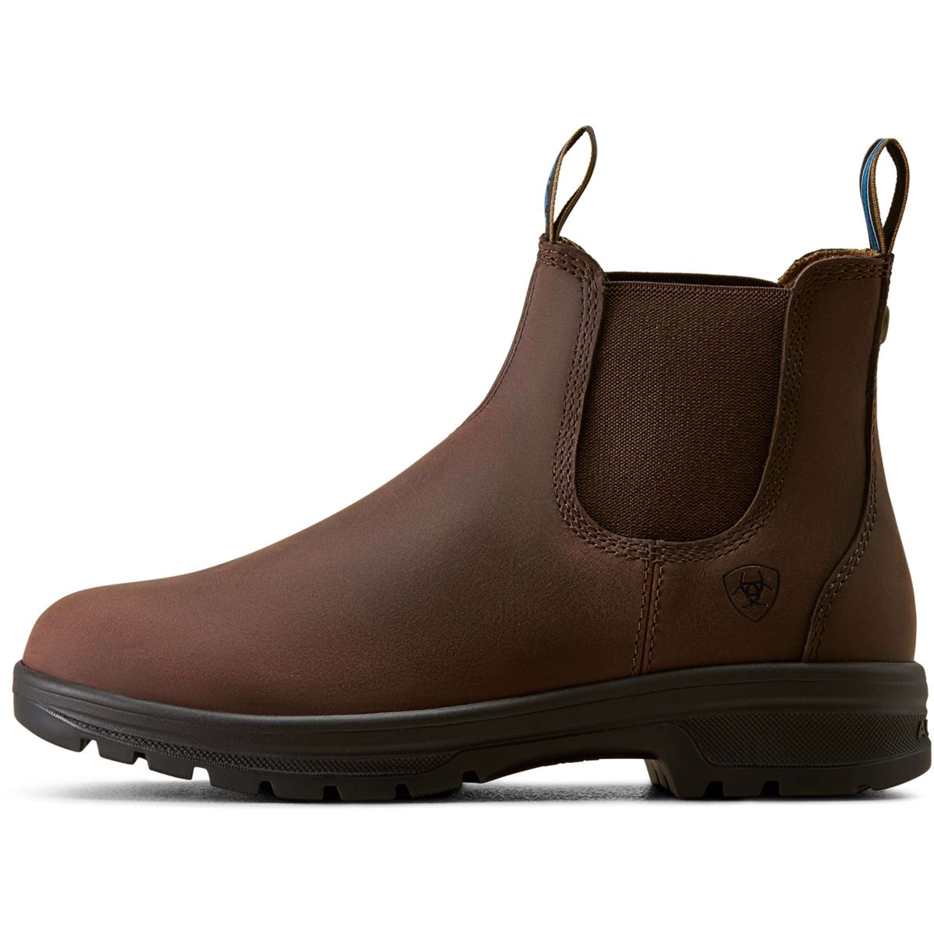 Ariat Jodhpury Cooper Damski Brunette