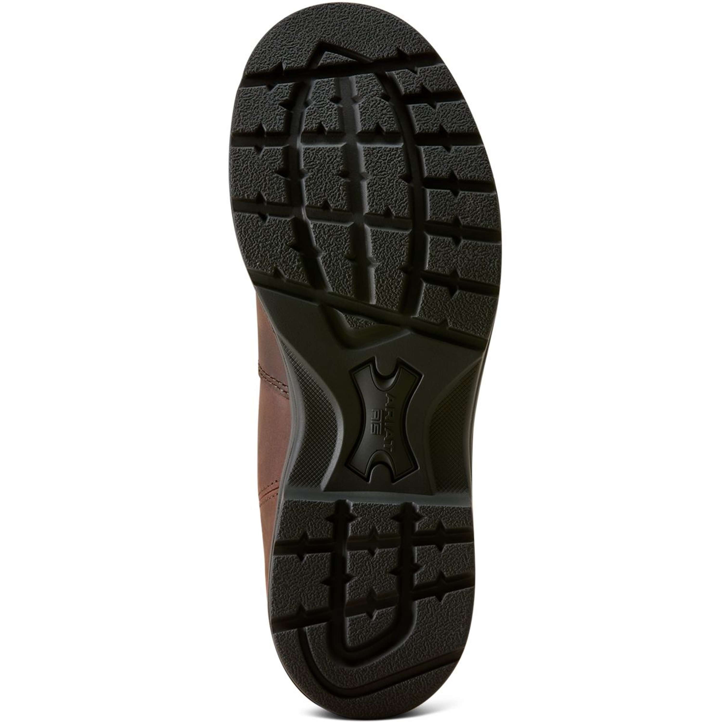Ariat Jodhpury Cooper Damski Brunette