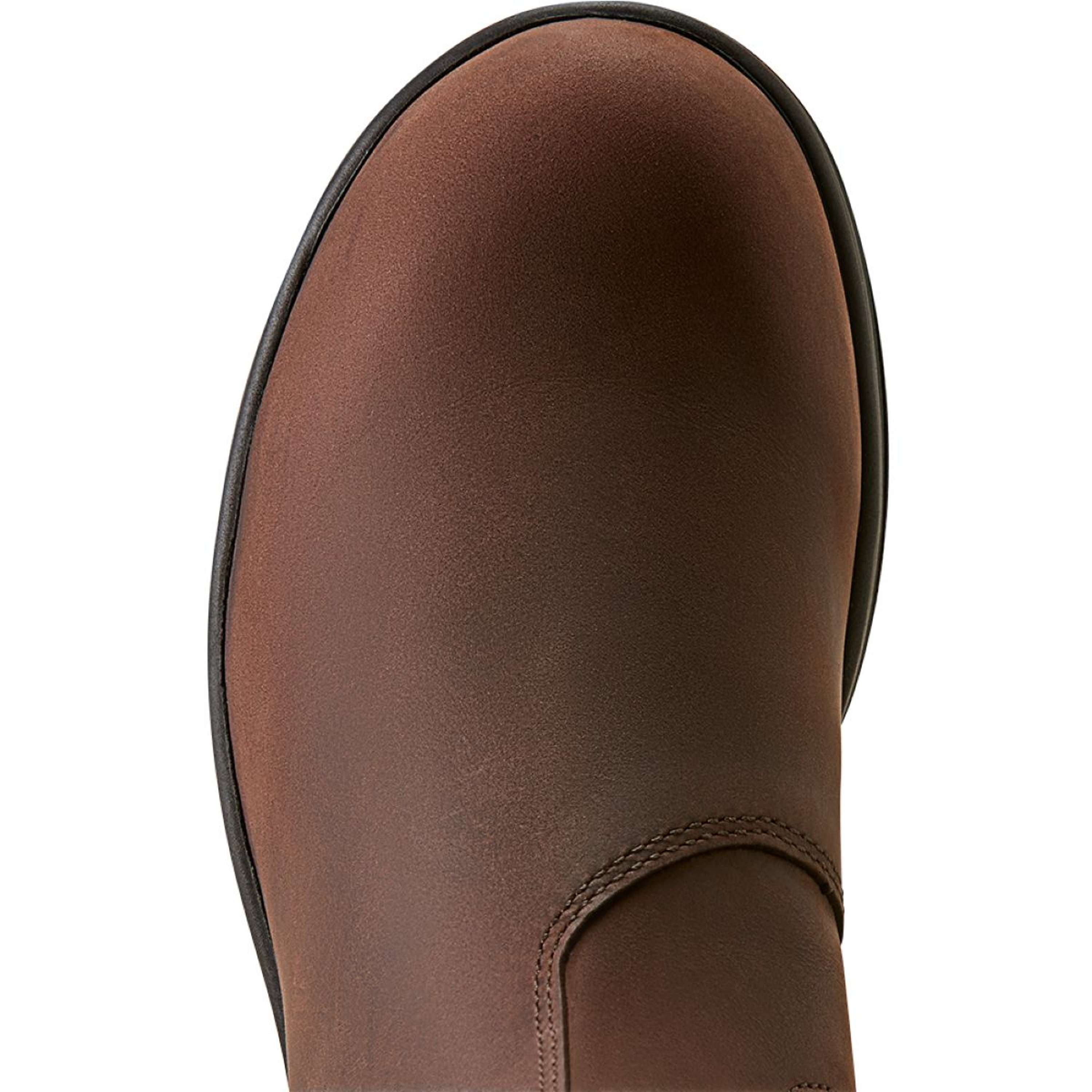 Ariat Jodhpury Cooper Damski Brunette